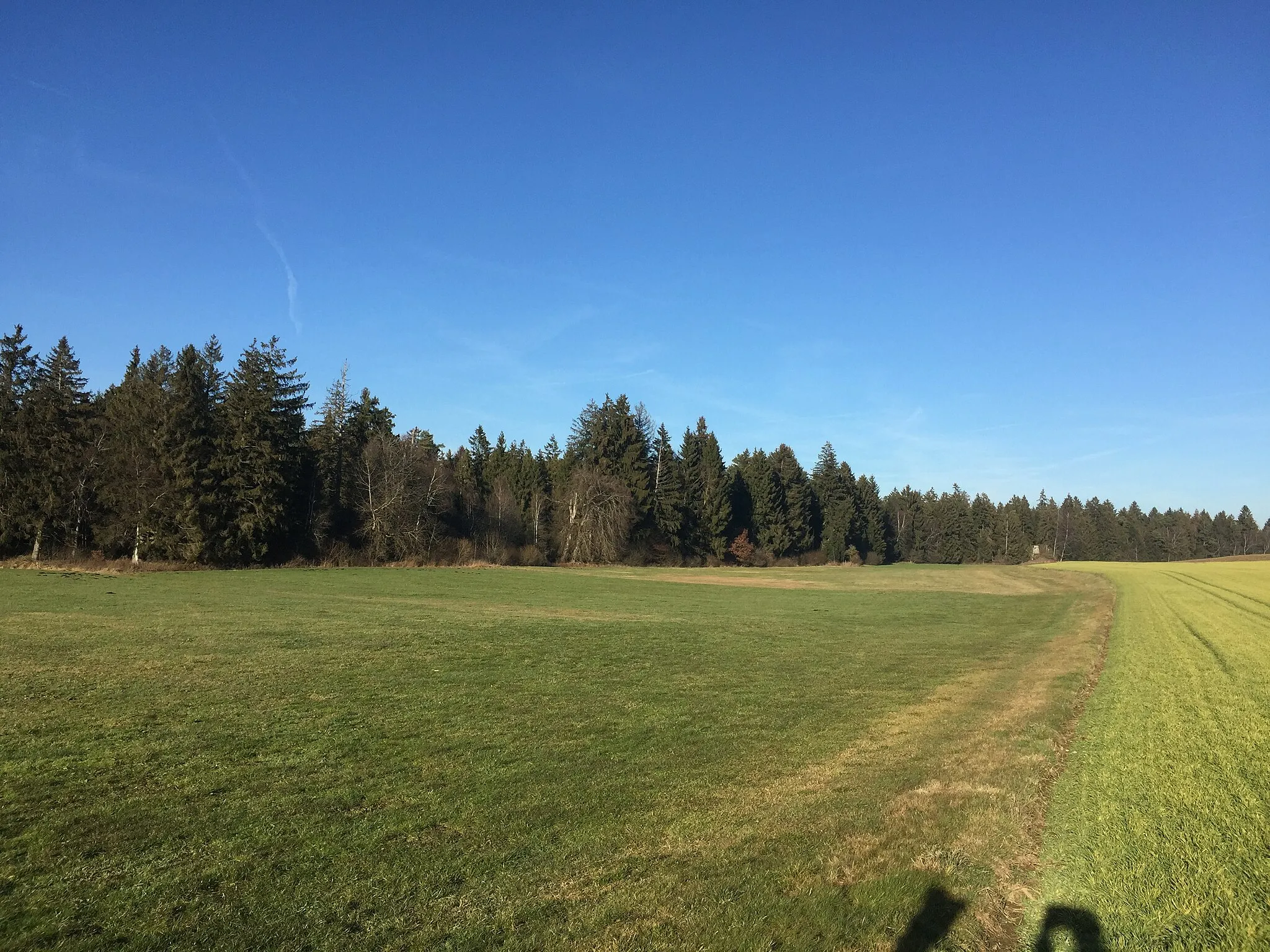 Photo showing: Naturschutzgebiet Egelseewiesen beim Ortsteil Ruhestetten der Gemeinde Wald (Hohenzollern)