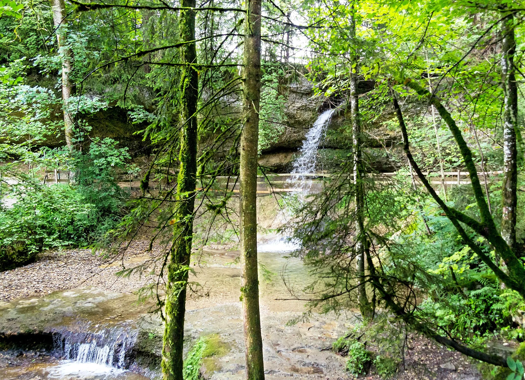 Photo showing: Bilder  von den Scheidegger Wasserfällen.