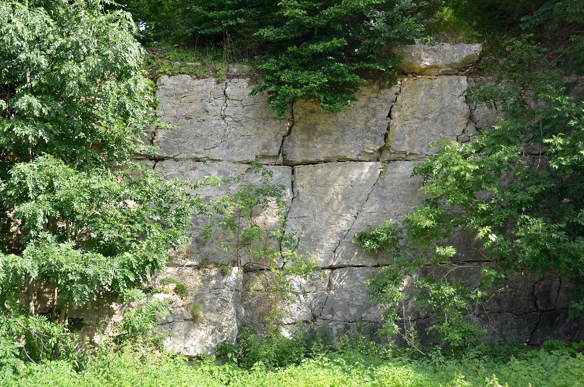 Photo showing: Geotop Aufg. Steinbruch im Langental E von Onstmettingen, FFH-Gebiet Gebiete um Albstadt, Vogelschutzgebiet Südwestalb und Oberes Donautal, Naturraum Hohe Schwabenalb, Biotop Steinbruch südlich Gewann Langental