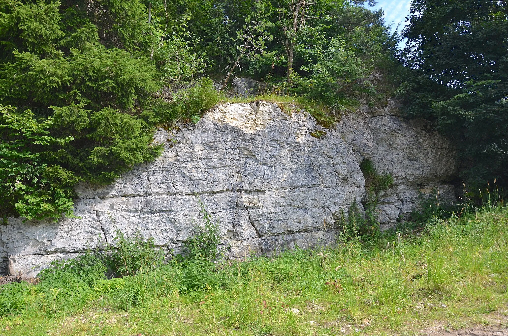 Photo showing: Geotop Aufg. Steinbruch im Langental E von Onstmettingen, FFH-Gebiet Gebiete um Albstadt, Vogelschutzgebiet Südwestalb und Oberes Donautal, Naturraum Hohe Schwabenalb, Biotop Steinbruch südlich Gewann Langental