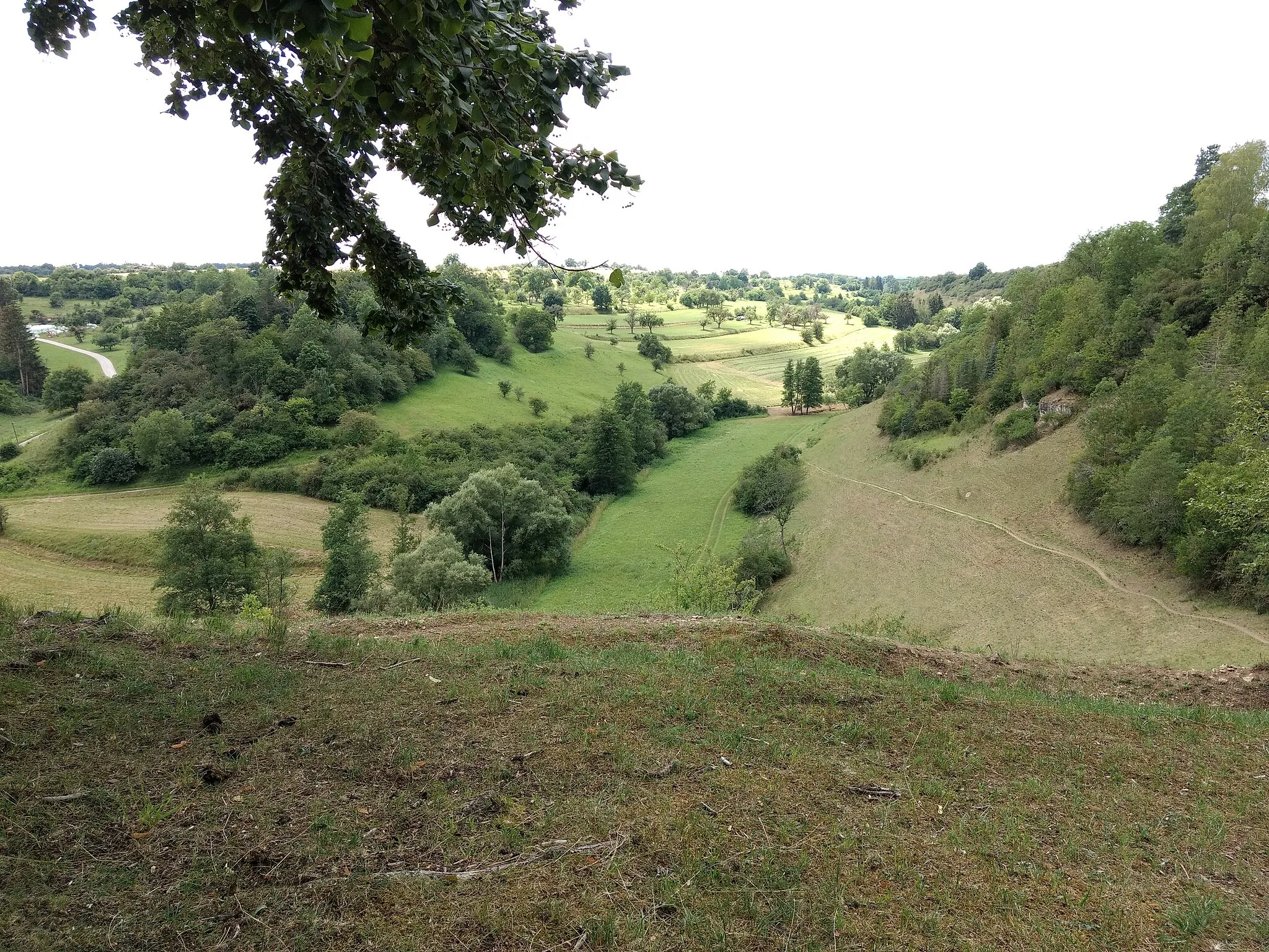 Photo showing: Blick vom Reustener Kirchberg in den Kochhartgraben