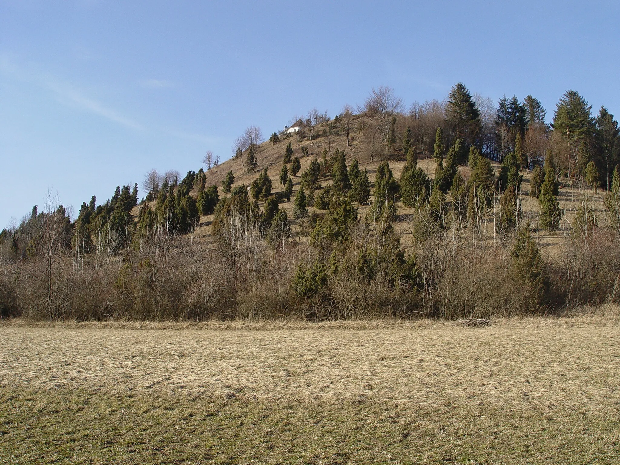 Photo showing: Kornbühl bei Salmendingen, ein Härtling auf der Mittleren Kuppenalb, Schwäbischen Alb. Die Hänge des Kornbühl sind eine Wacholderheide, die durch gelegentliche Schafbeweidung gepflegt wird.