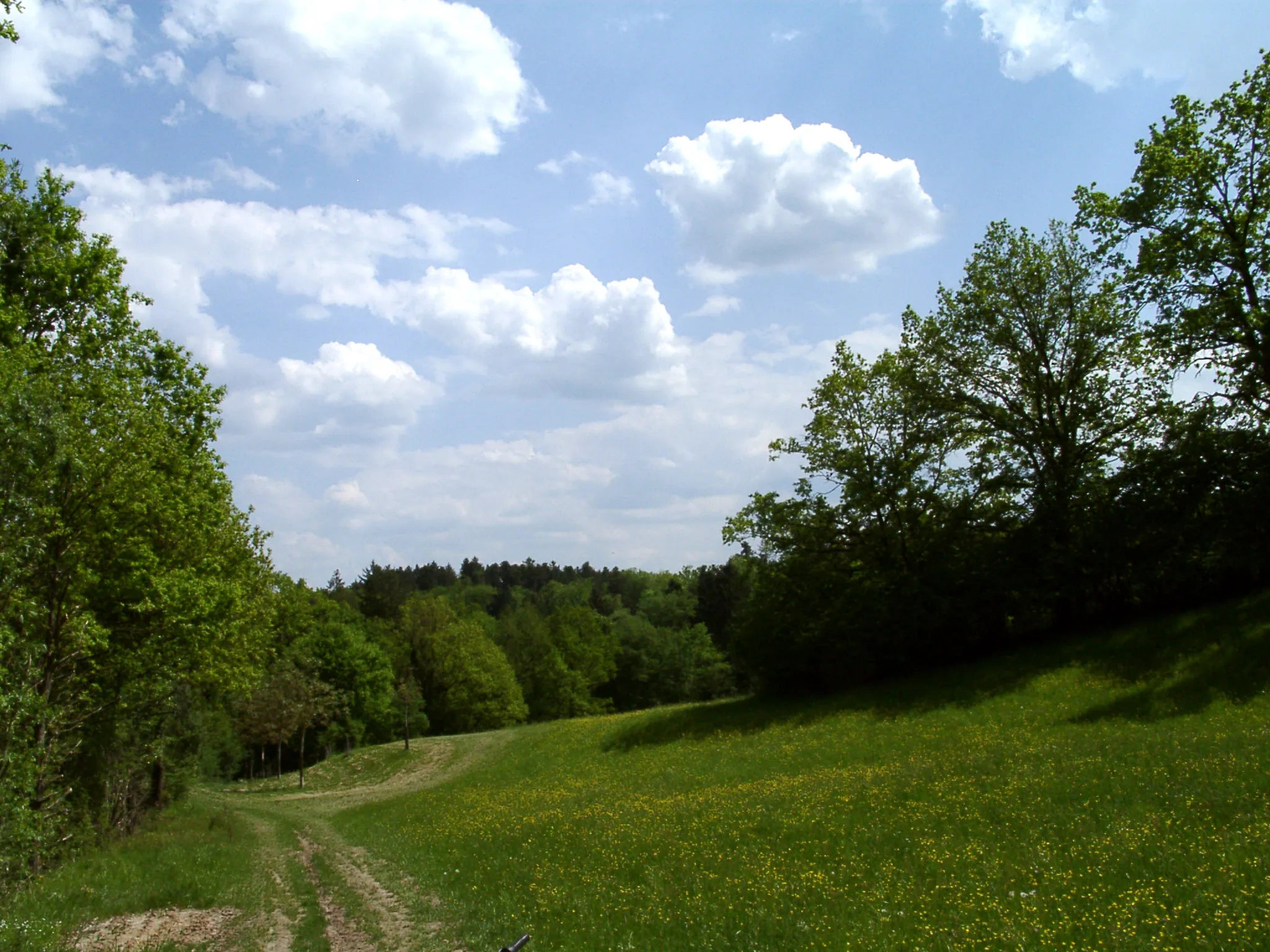 Photo showing: Landscape of Schwalldorf a suburb of Rottenburg am Neckar in the German state of Baden-Württemberg. The photo was taken in the Haesele a parcel of land on the territory of Schwalldorf.