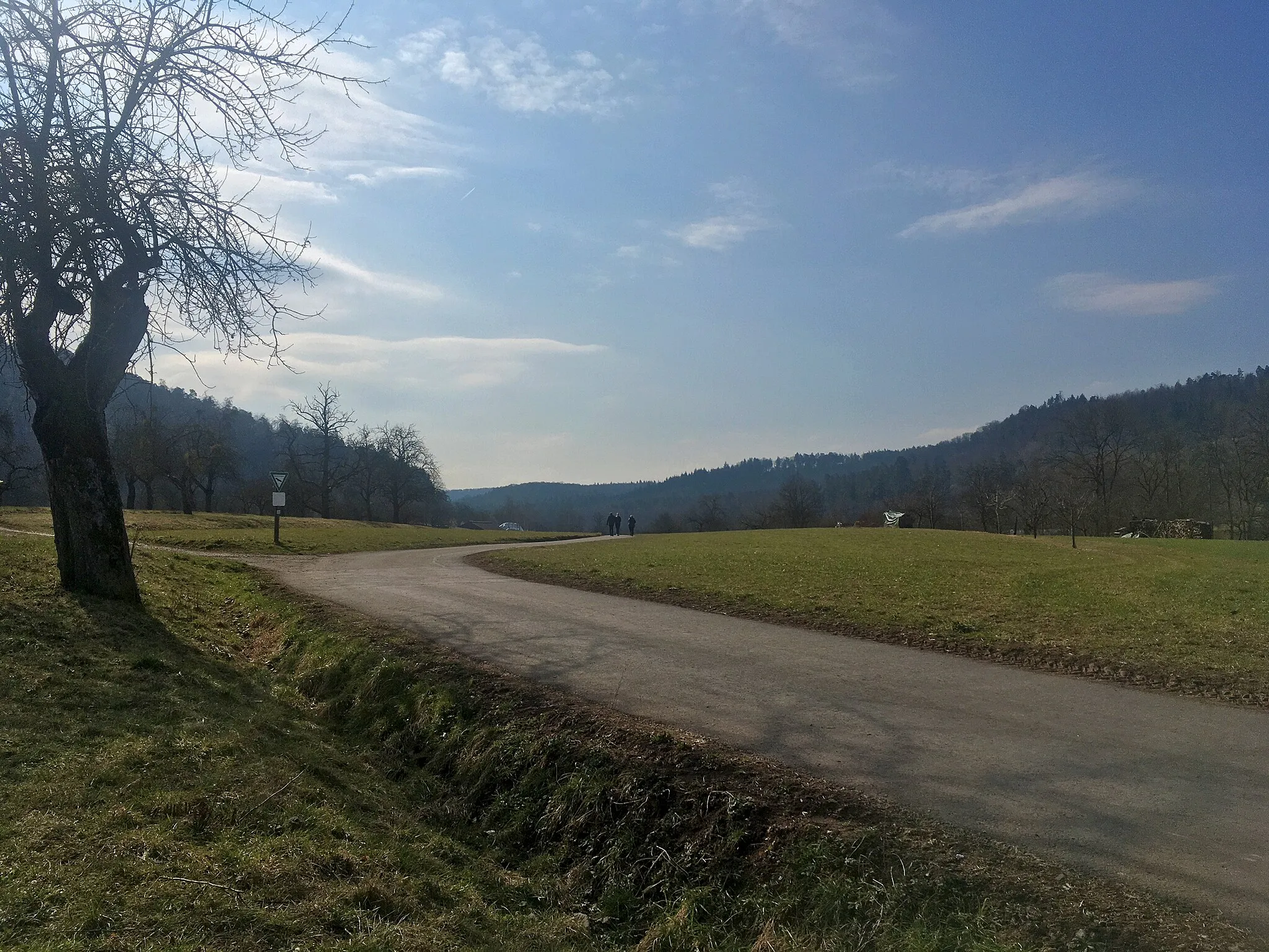 Photo showing: Das Bühlertal in der Nähe vom Sportplatz Tübingen-Bühl