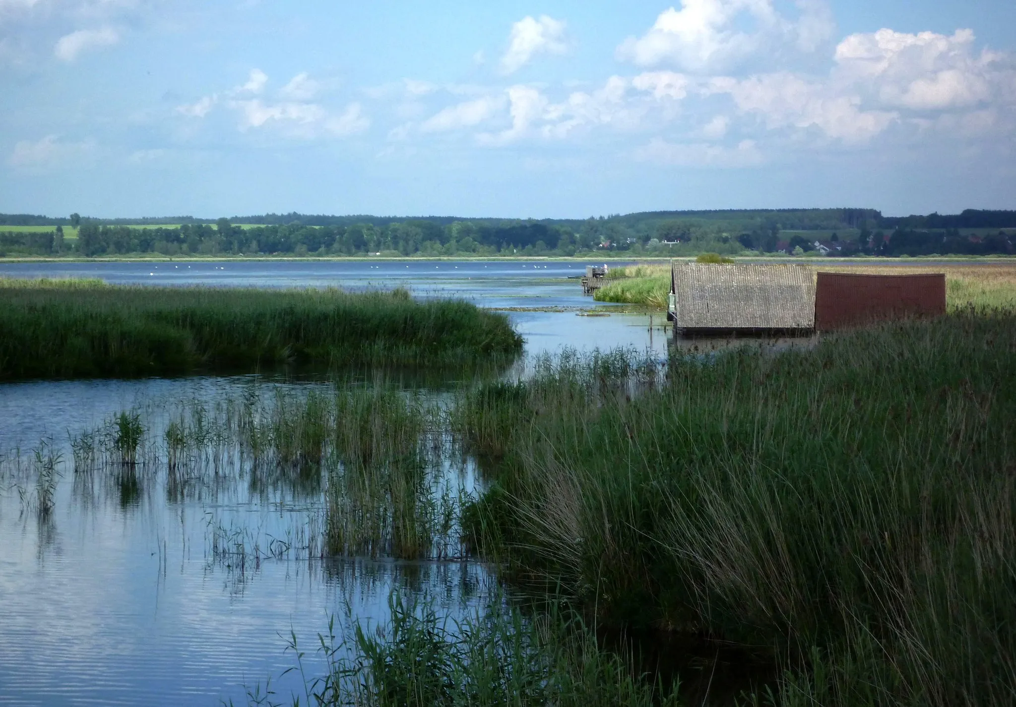 Photo showing: Bad Buchau - Wolken über dem Federsee