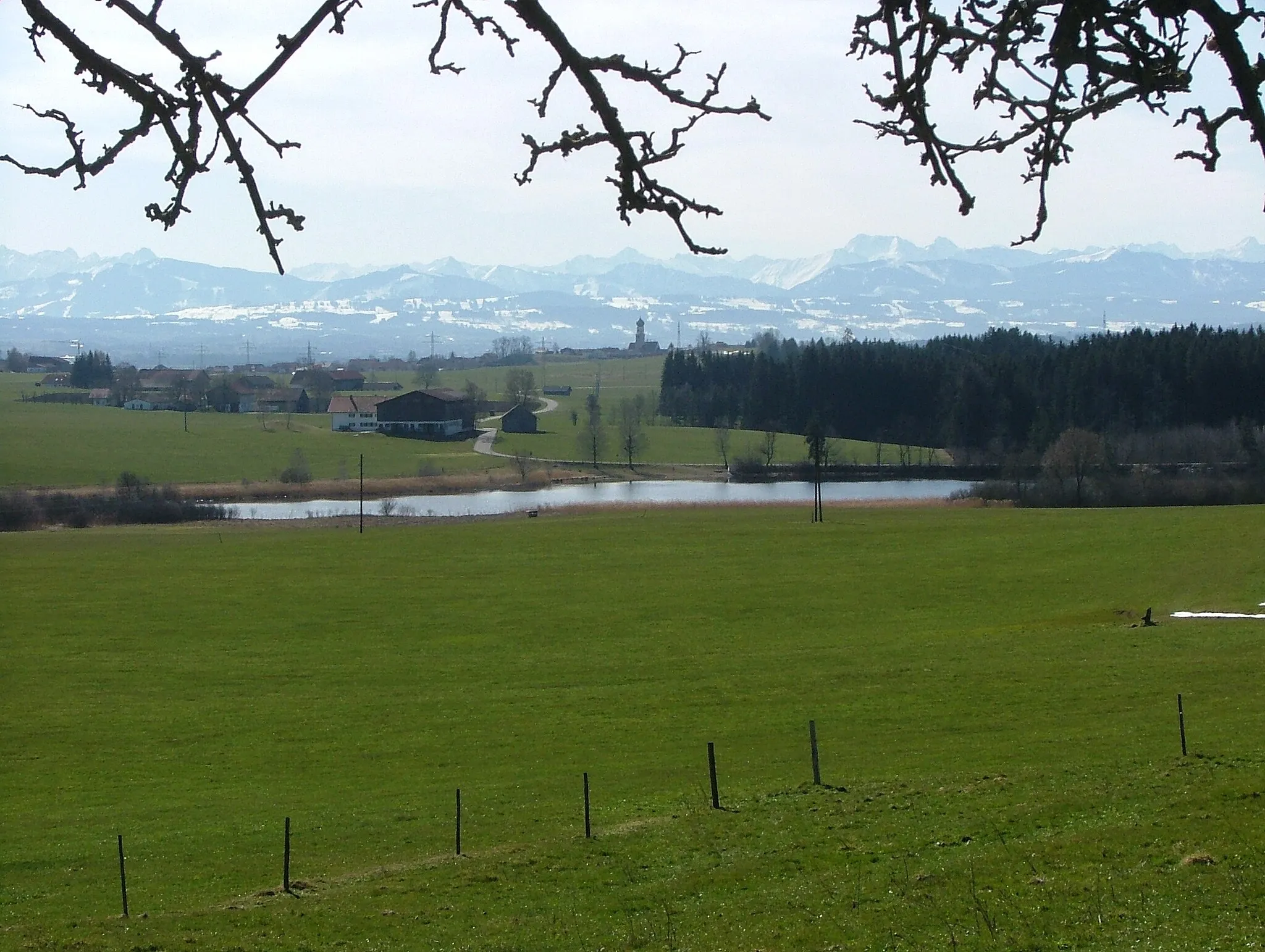 Photo showing: Blick über den Sachsenrieder Weiher nach Reicholzried