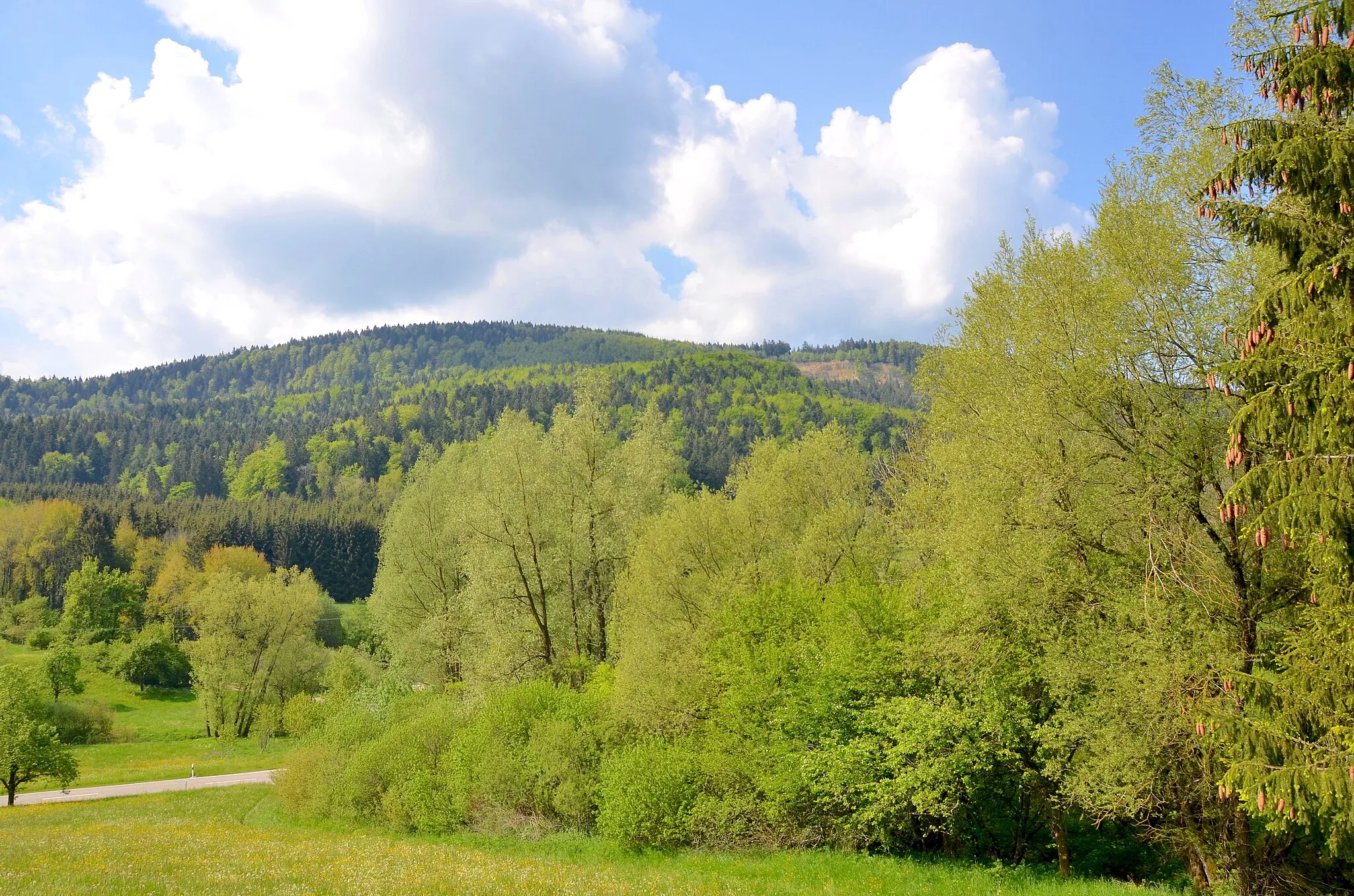 Photo showing: (NSG:BW-4.195)_Tiefer Weg, Vogelschutzgebiet Südwestalb und Oberes Donautal und Biotop Bachabschnitt 'Vor dem Tann' NO Ratshausener See, Naturraum Hohe Schwabenalb, Naturpark Obere Donau. Im Hintergrund der Rainen.