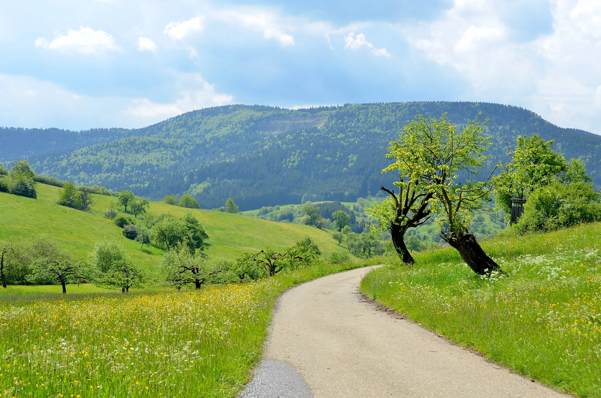 Photo showing: Blick über das Vogelschutzgebiet Südwestalb und Oberes Donautal zum (NSG:BW-4.300)_Ortenberg, Waldschutzgebiet Ortenberg und FFH-Gebiet Großer Heuberg und Donautal. Im Hintergrund rechts der Ortenberg, links der Rainen.