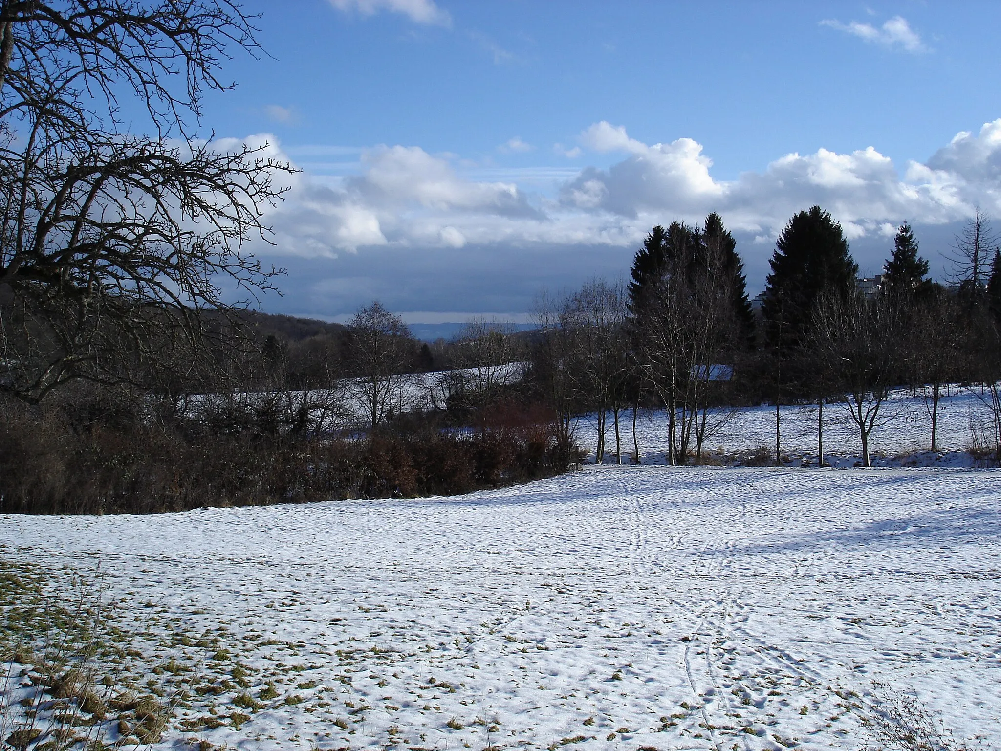 Photo showing: Ramsbachtal