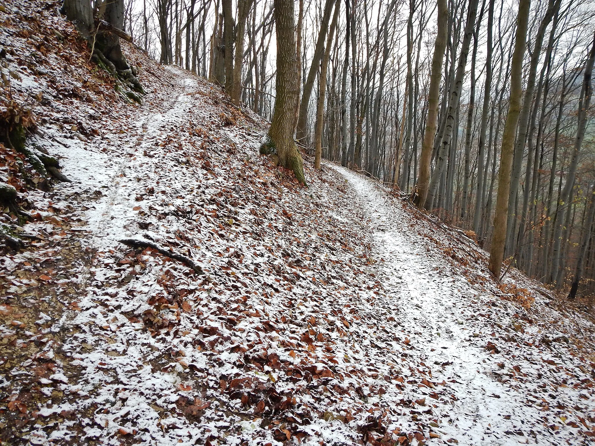 Photo showing: Wanderweg bei Eningen