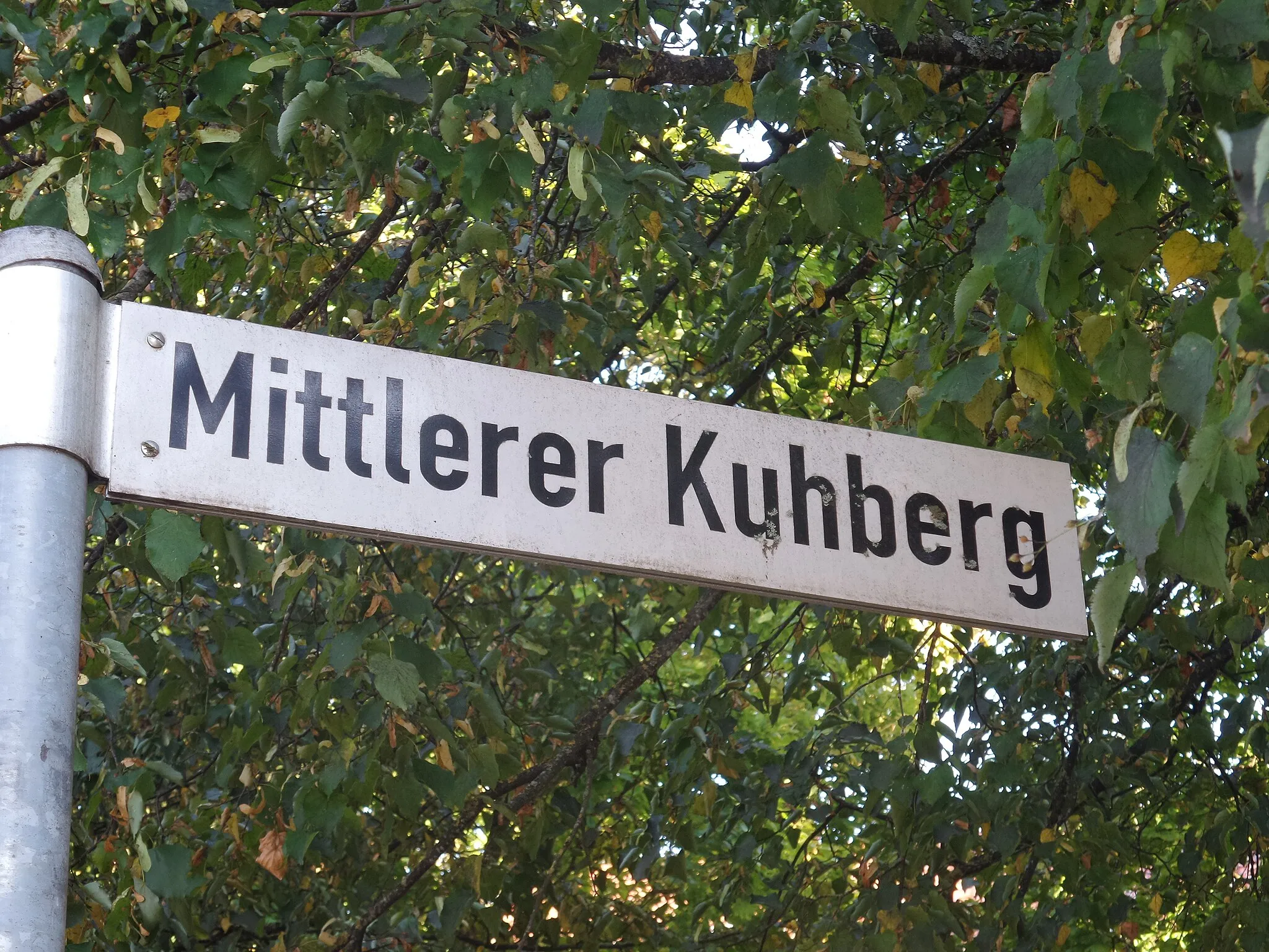 Photo showing: Mittlerer Kuhberg in Ulm