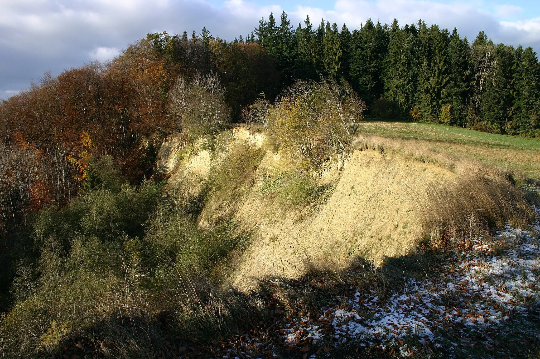 Photo showing: Land slide on the Gehrenberg (Geotope-ID 8435011), Deggenhausertal, Bodenseekreis