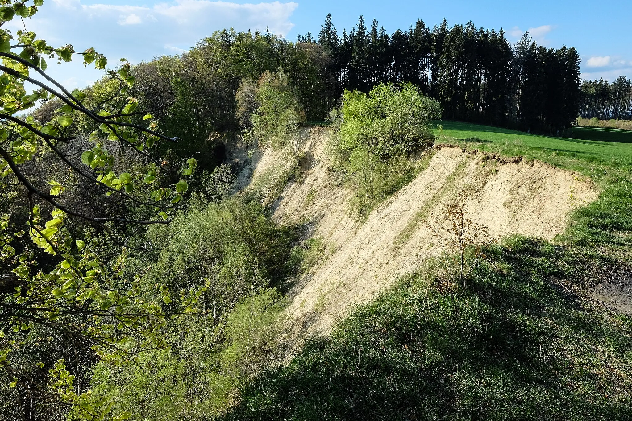 Photo showing: Land slide on the Gehrenberg (Geotope-ID 8435011), Deggenhausertal, Bodenseekreis