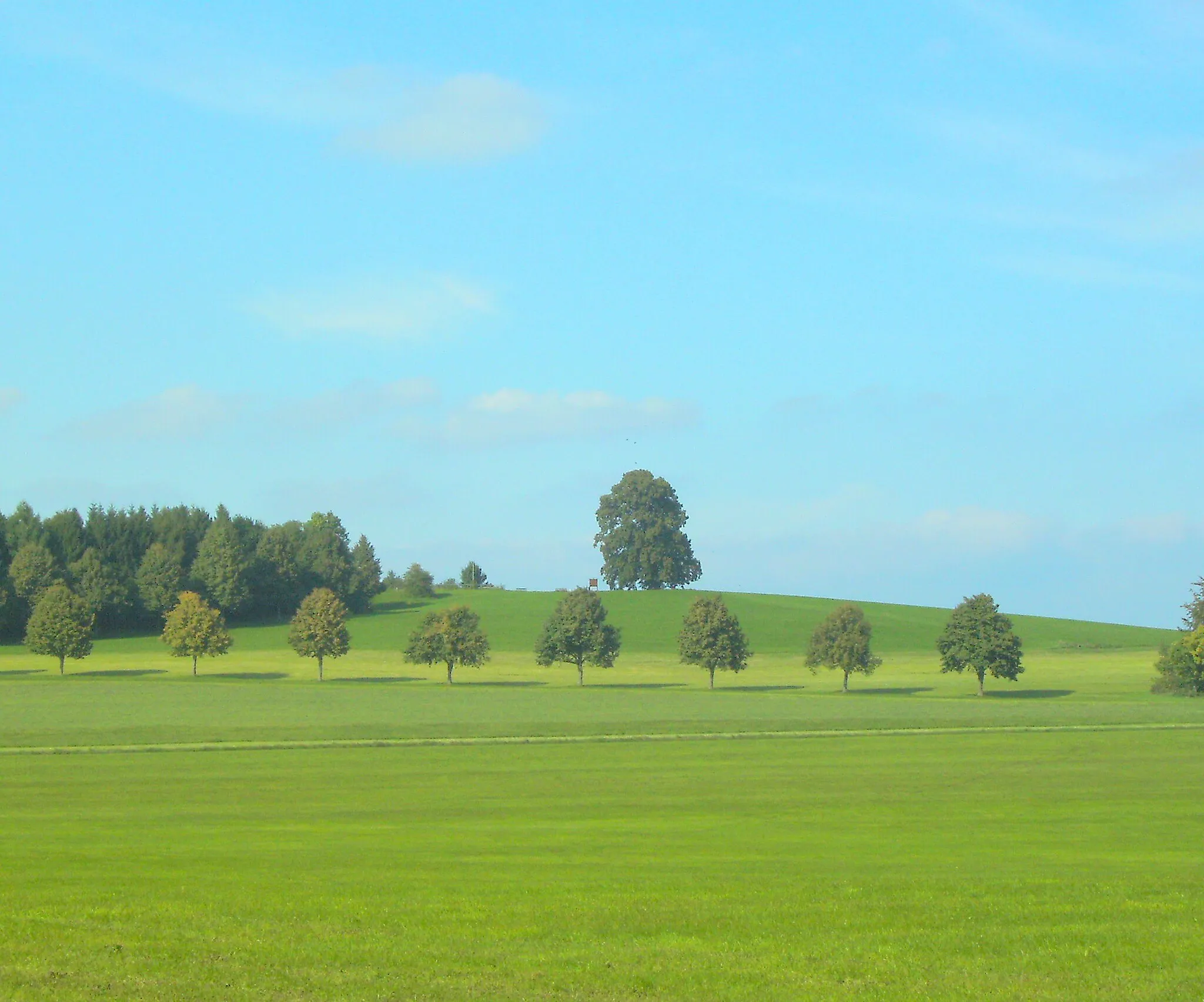 Photo showing: Wachbühl