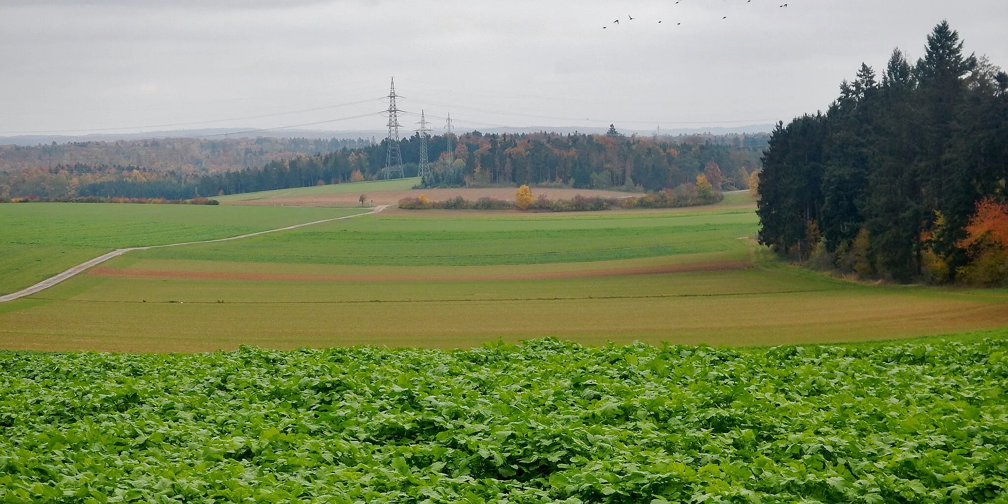 Photo showing: Ausblick über die Felder in der Nähe von Jettingen