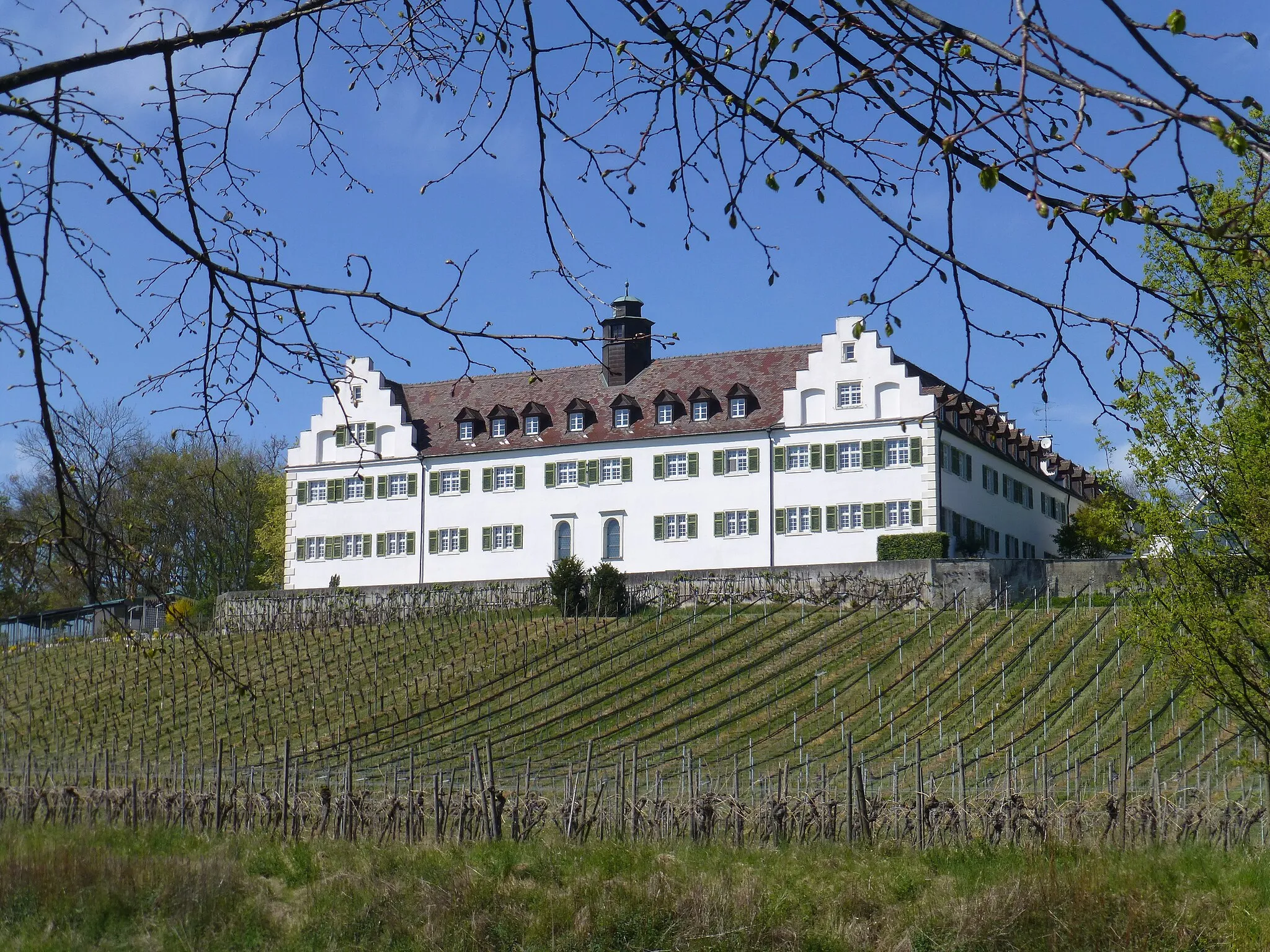 Photo showing: Schloss Hersberg bei Immenstaad am Bodensee