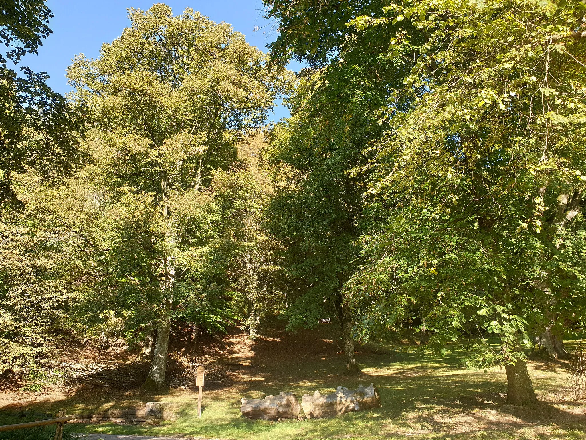 Photo showing: Lindenplatz (ehemals Bürzlenwasen) in Eningen