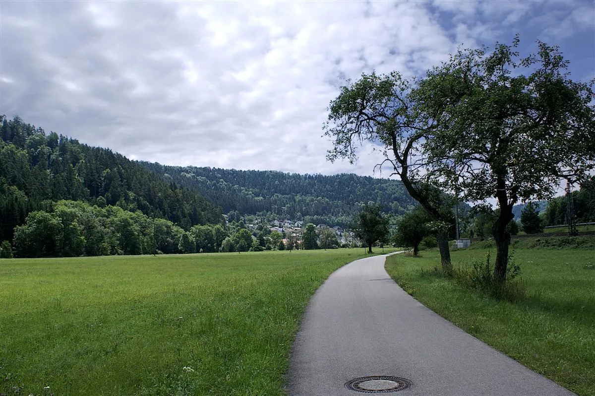 Photo showing: Neckartalradweg bei Epfendorf
