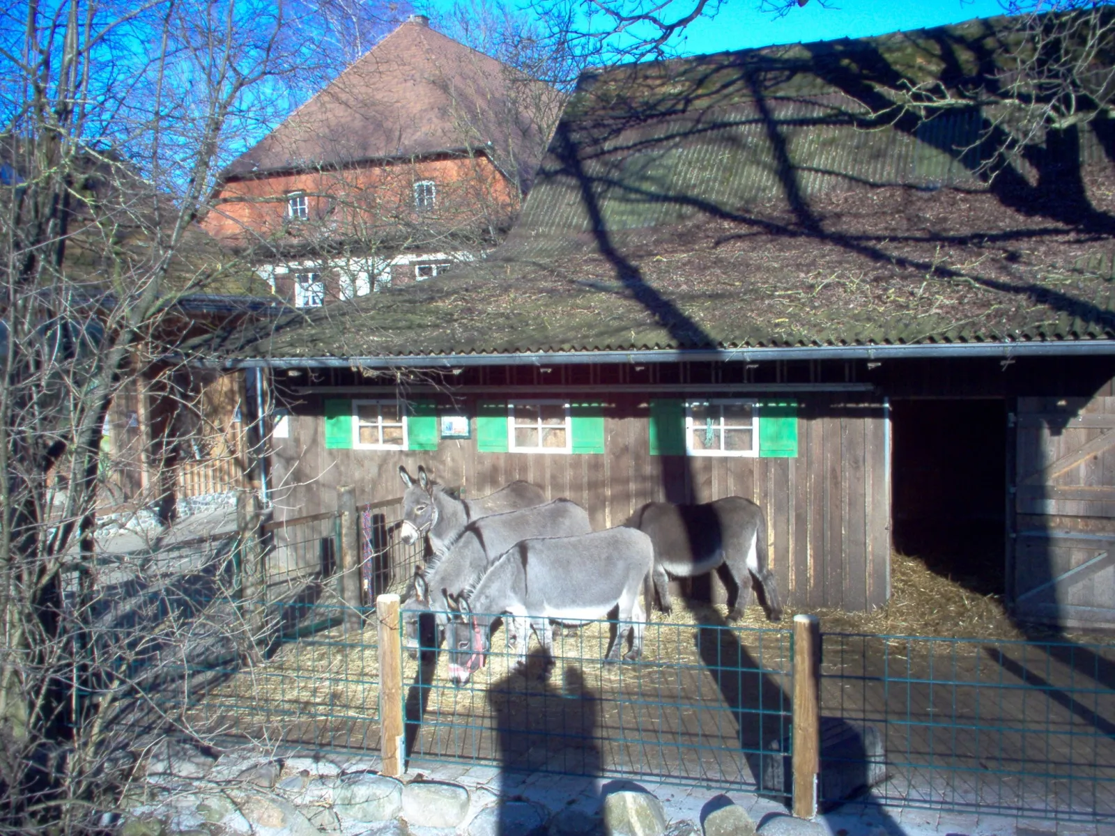 Photo showing: Esel in der Reutemühle