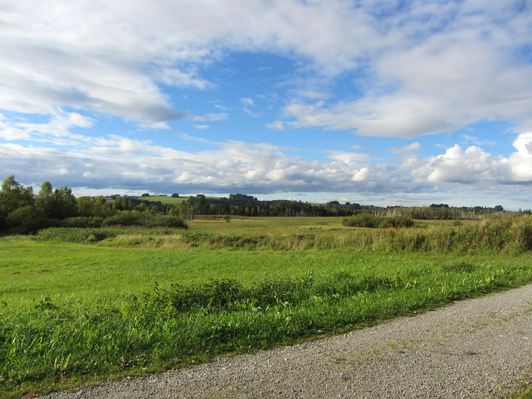 Photo showing: Wurzacher Ried bei Dietmanns