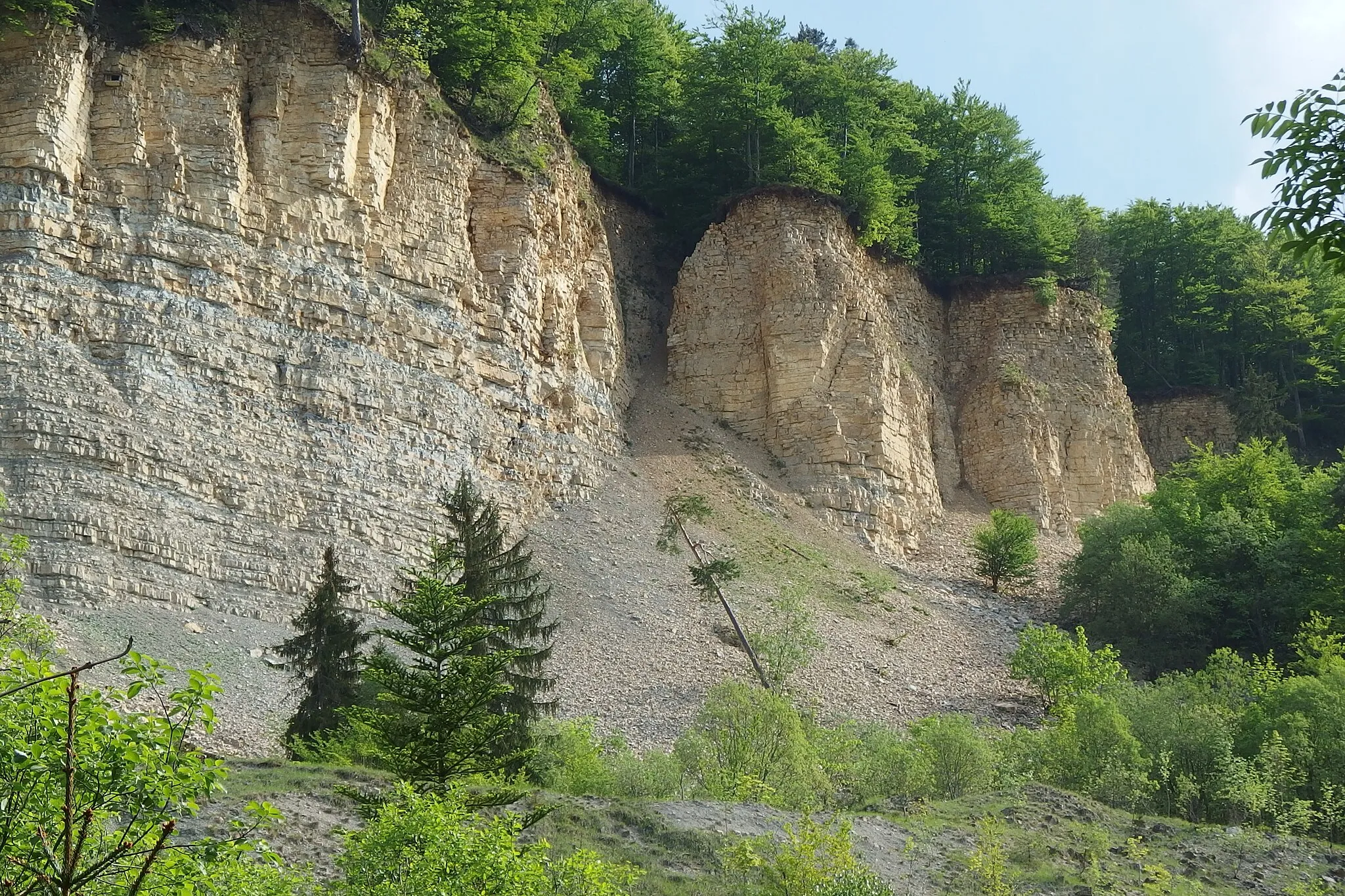 Photo showing: Upper cliff of Mössingen landslide, Swabian Alb, Germany