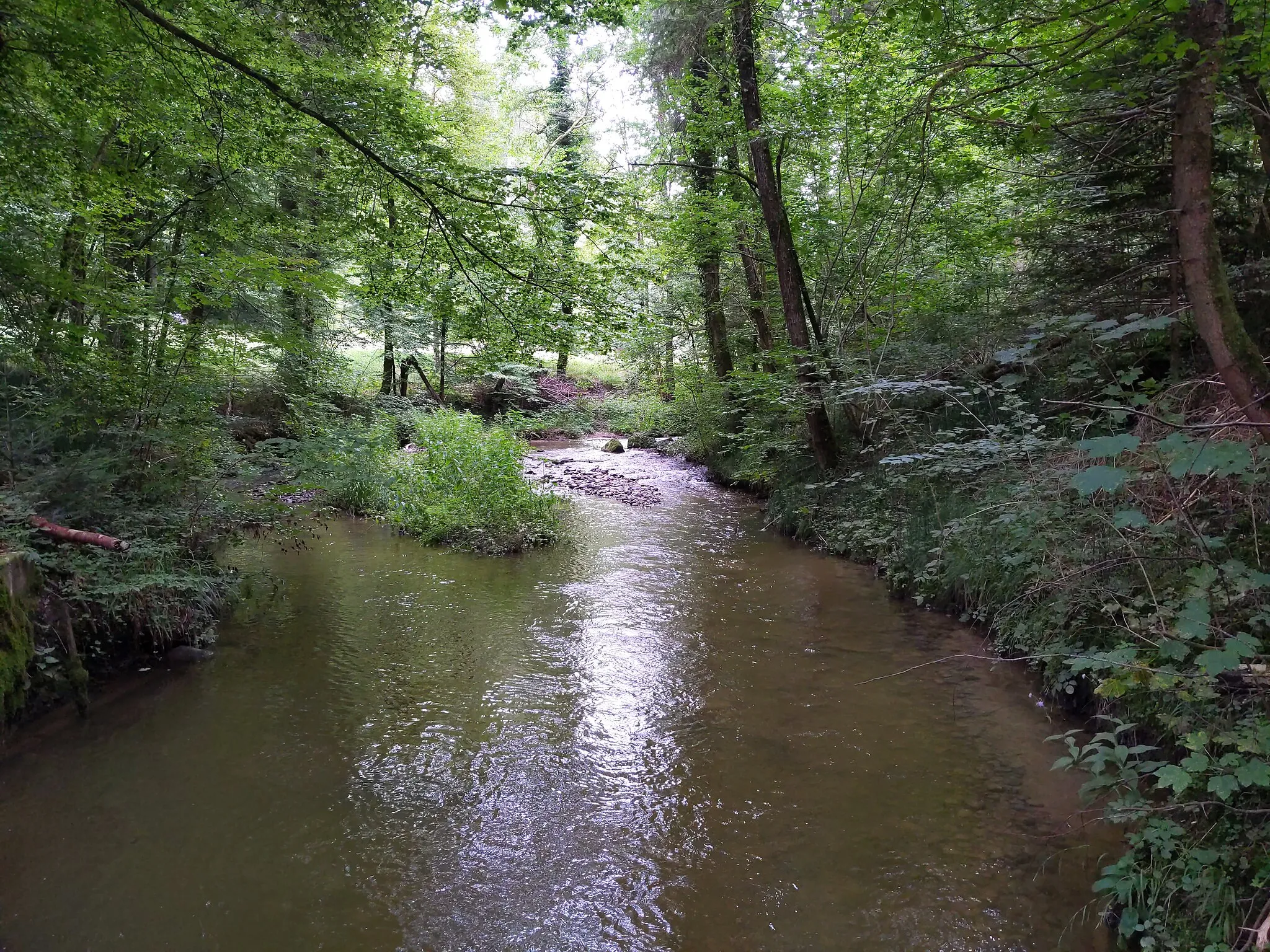 Photo showing: Die Scherzach im Lauratel