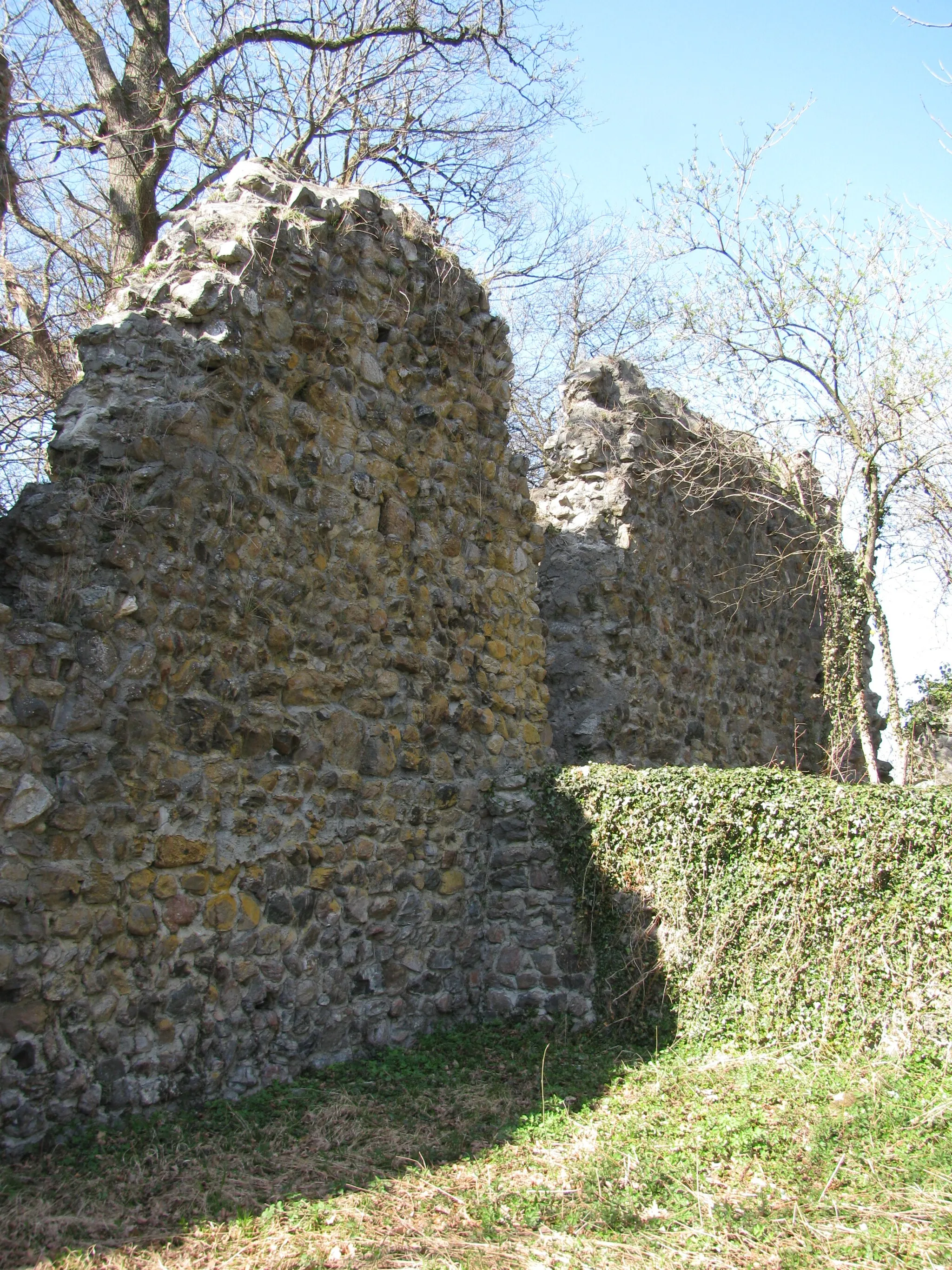 Photo showing: Deutschland - Baden-Württemberg - Bodenseekreis - Neukirch: Ruine Ebersberg