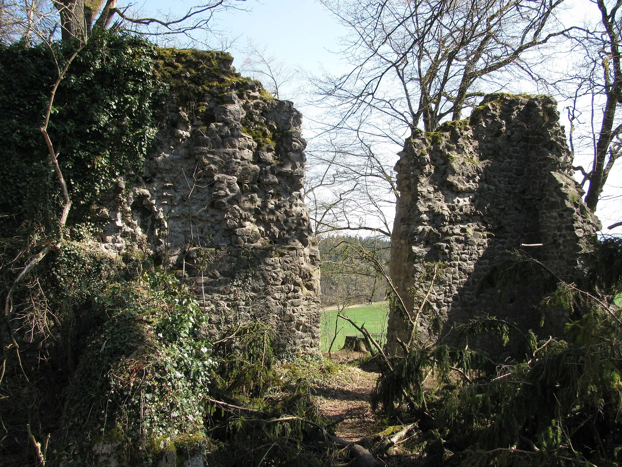 Photo showing: Deutschland - Baden-Württemberg - Bodenseekreis - Neukirch: Ruine Ebersberg