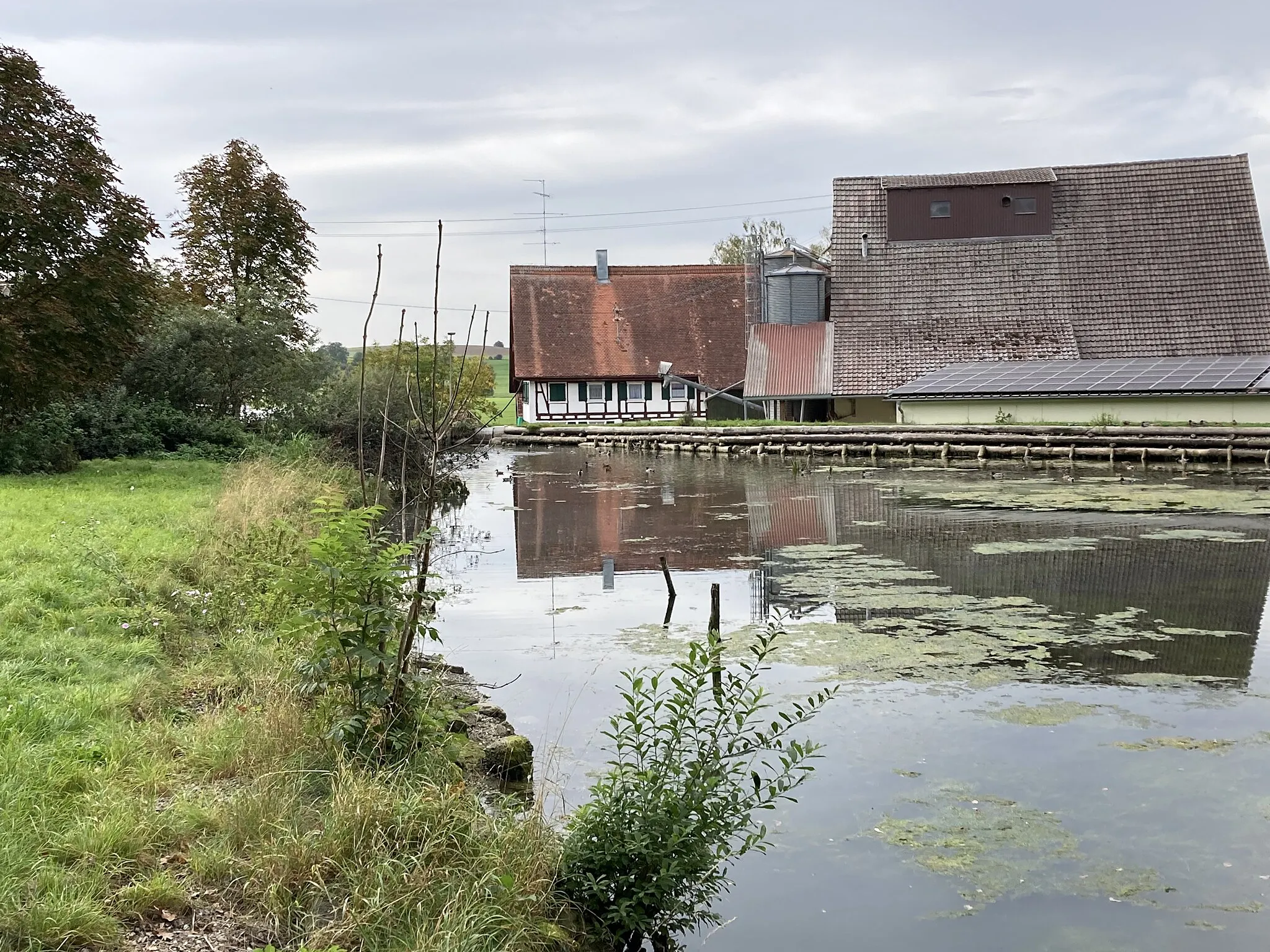 Photo showing: Der Mühlteich in Winterstettendorf gilt als Ursprung der warmen Riß