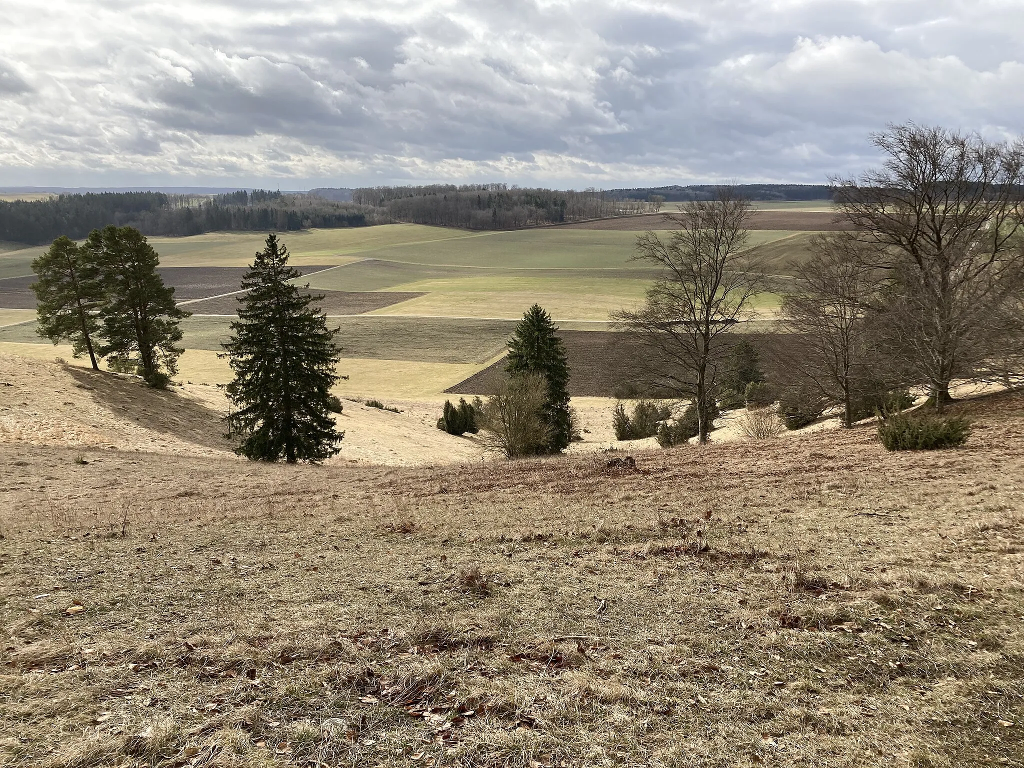 Photo showing: Nature reserve Bullenberg-Dudelberg-Stockhau (2022)