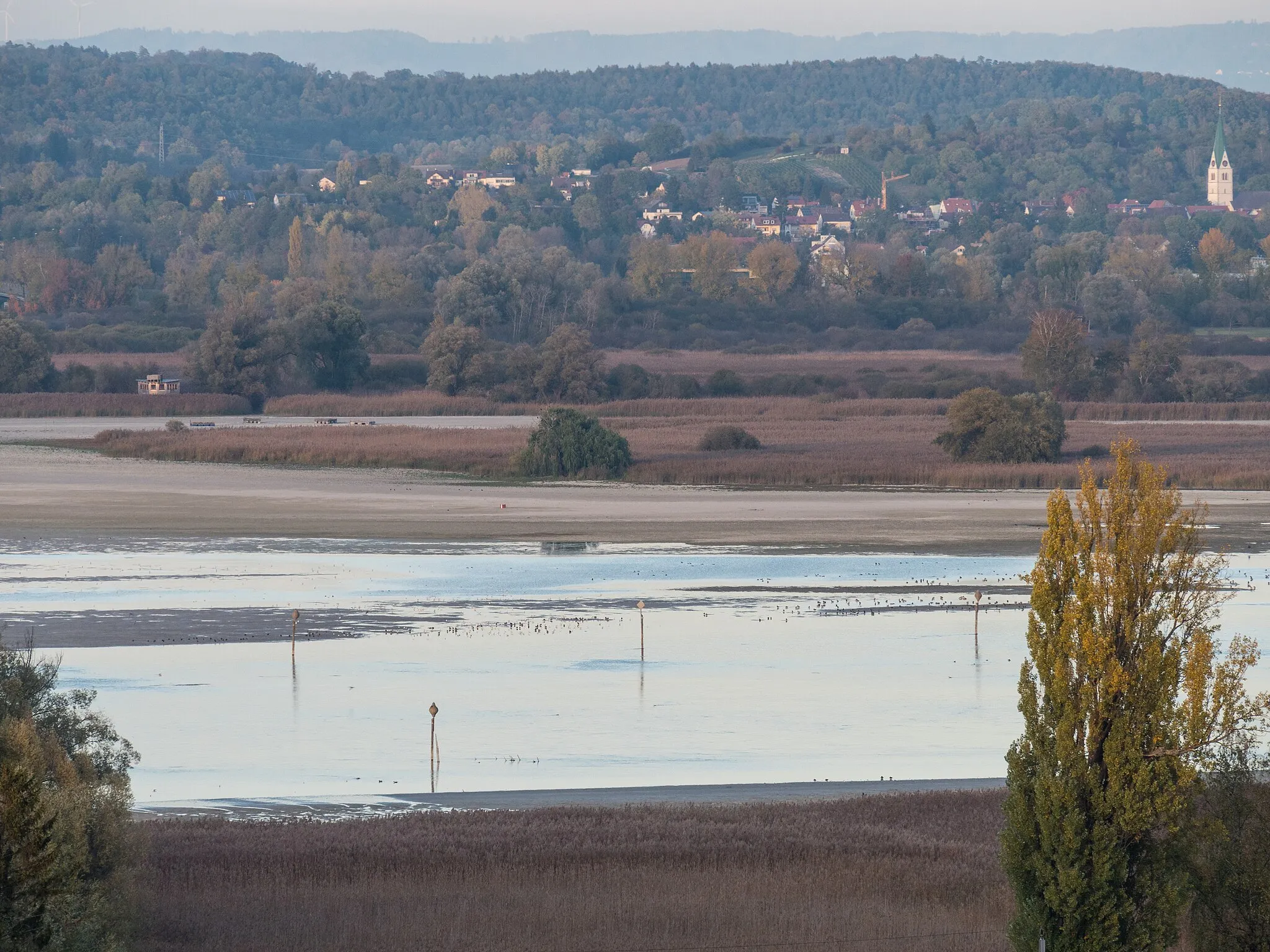 Photo showing: Hitze und Niederschlagsarmut hat zu einem ungewöhnlich niedrigen Wasserstand des Untersees geführt. Okt. 2018: Blick vom Schweizer Ufer zum Wollmatinger Ried.