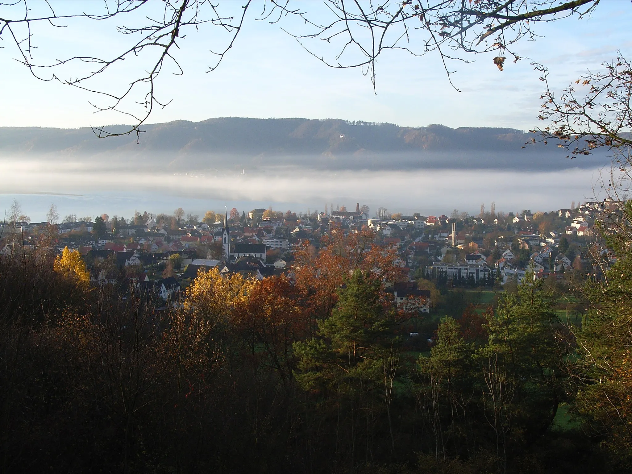 Photo showing: Bodman-Ludwigshafen im Nebel
