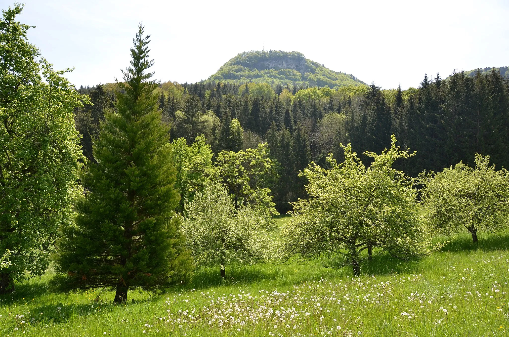 Photo showing: Blick zum Gräbelesberg im (LSG:BW-4.17.001)_Albstadt-Bitz (2019)