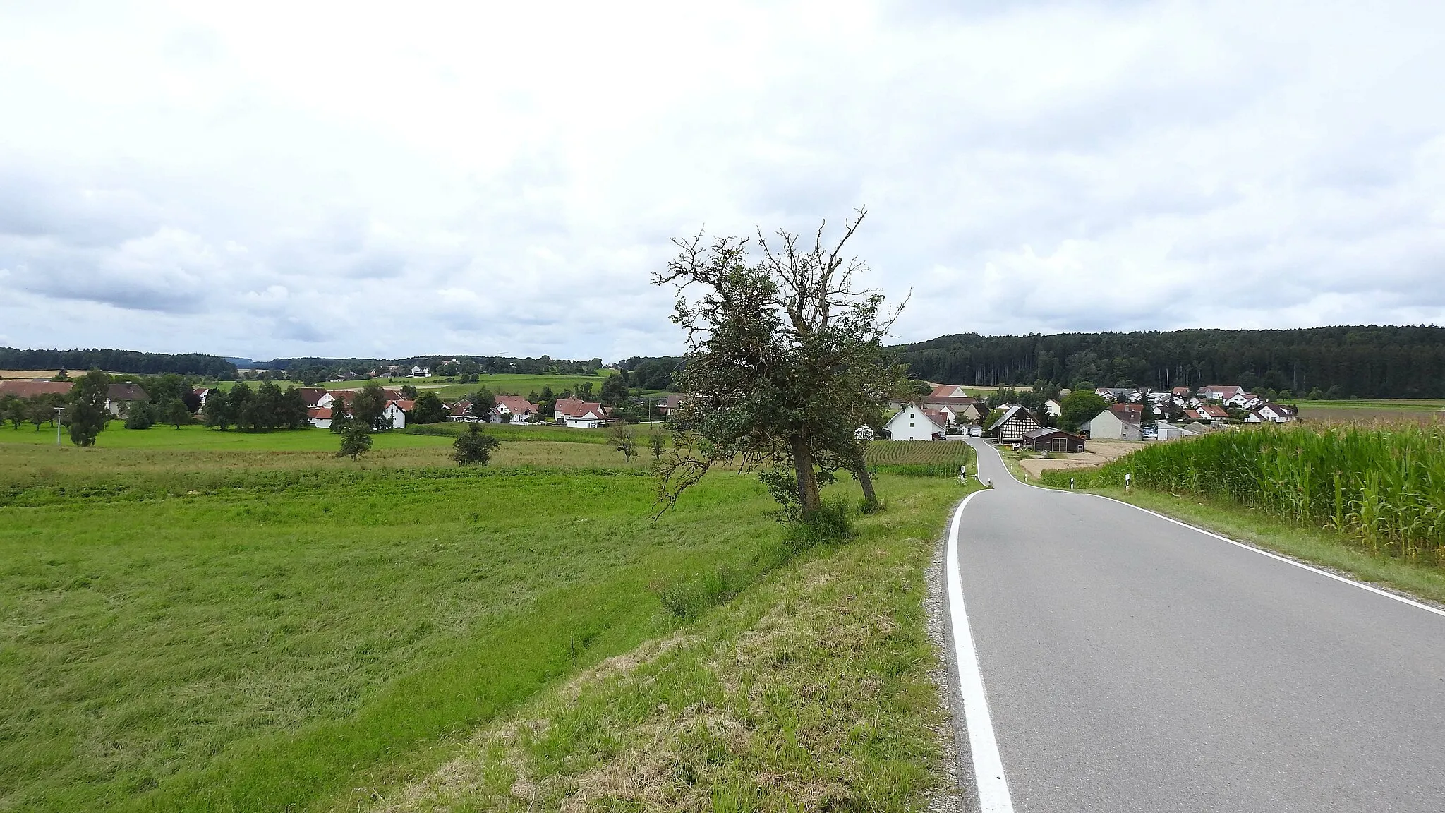 Photo showing: Schwarzenbach von Osten, Boms im Hintergrund