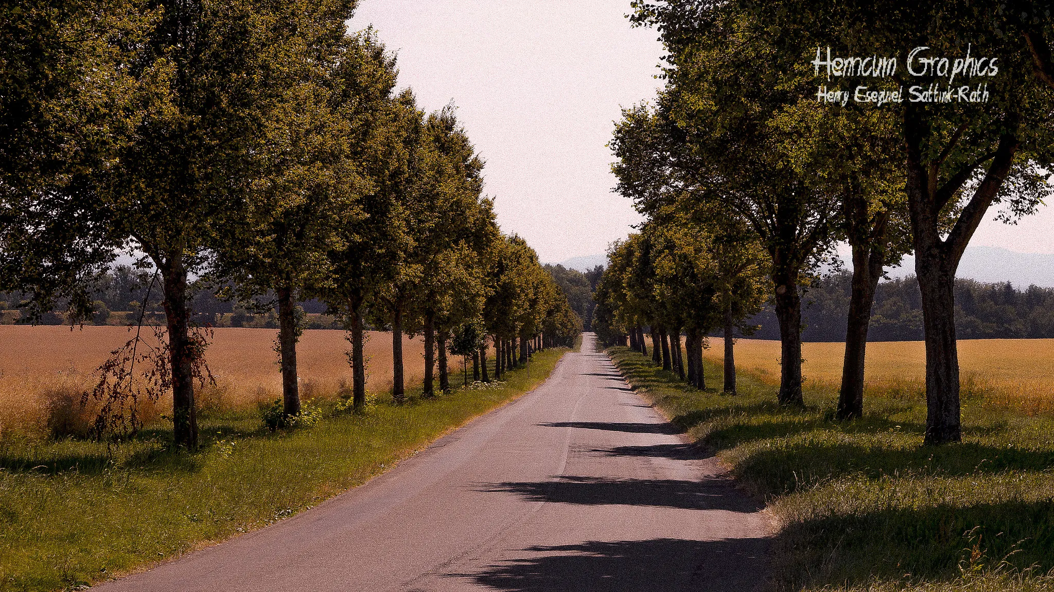 Photo showing: 500px provided description: The avenue to Kirchentellinsfurt. []