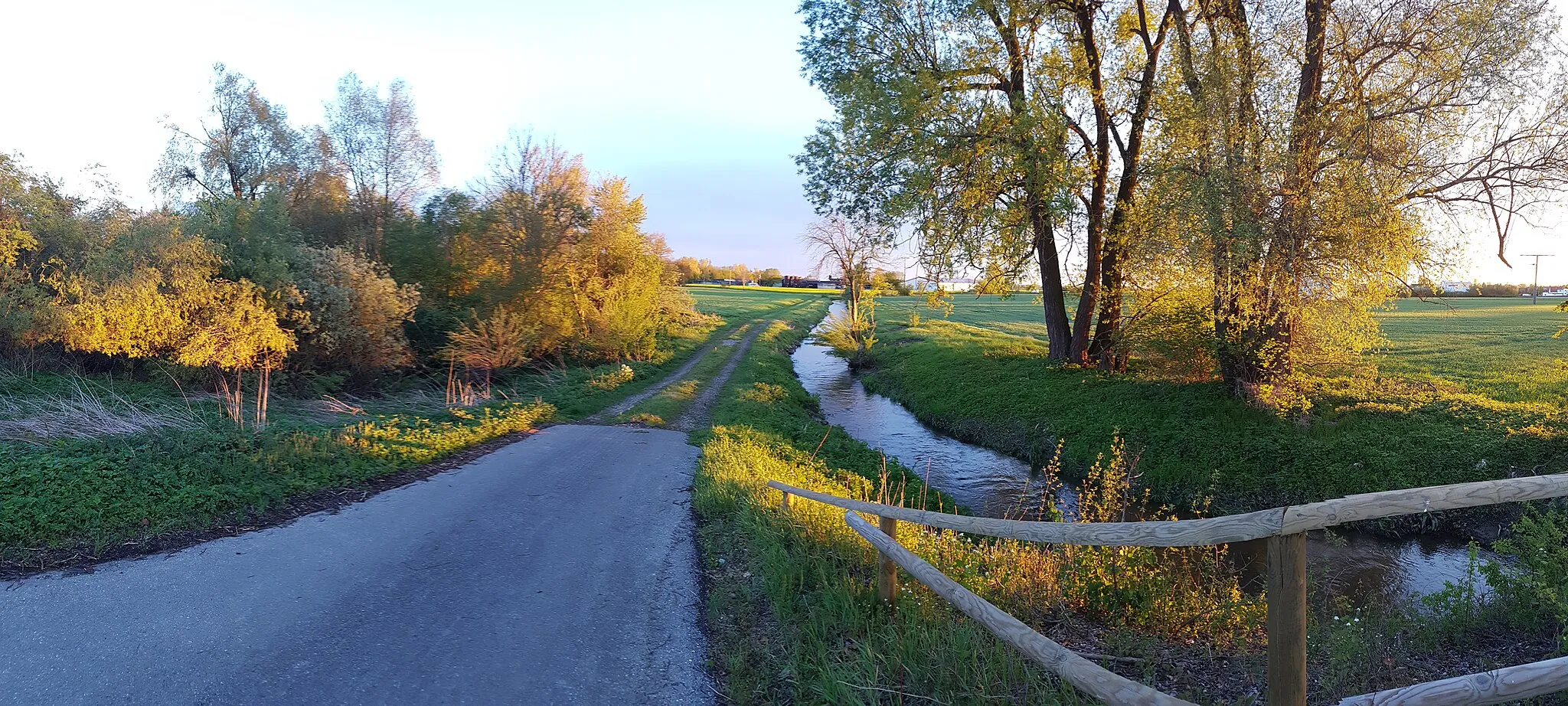 Photo showing: A small lake near to Burlafingin in Neu-ulm.