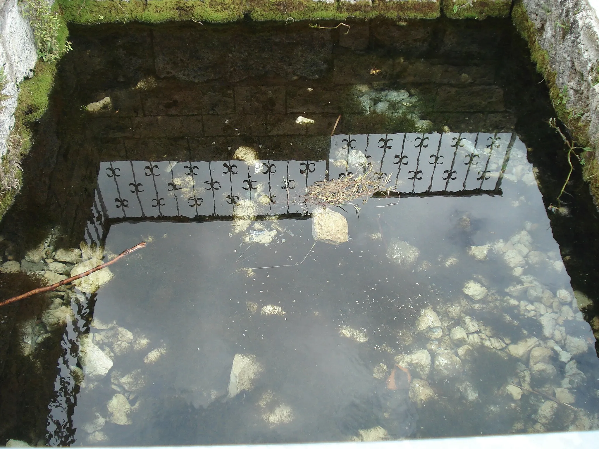 Photo showing: Austrittsstelle im Schmiedbachbrunnen