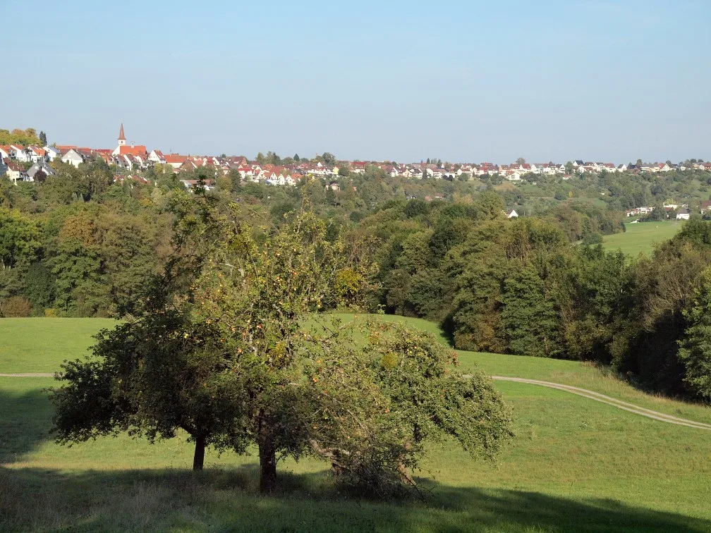 Photo showing: Weil im Schönbuch, Germany, viewed from the south