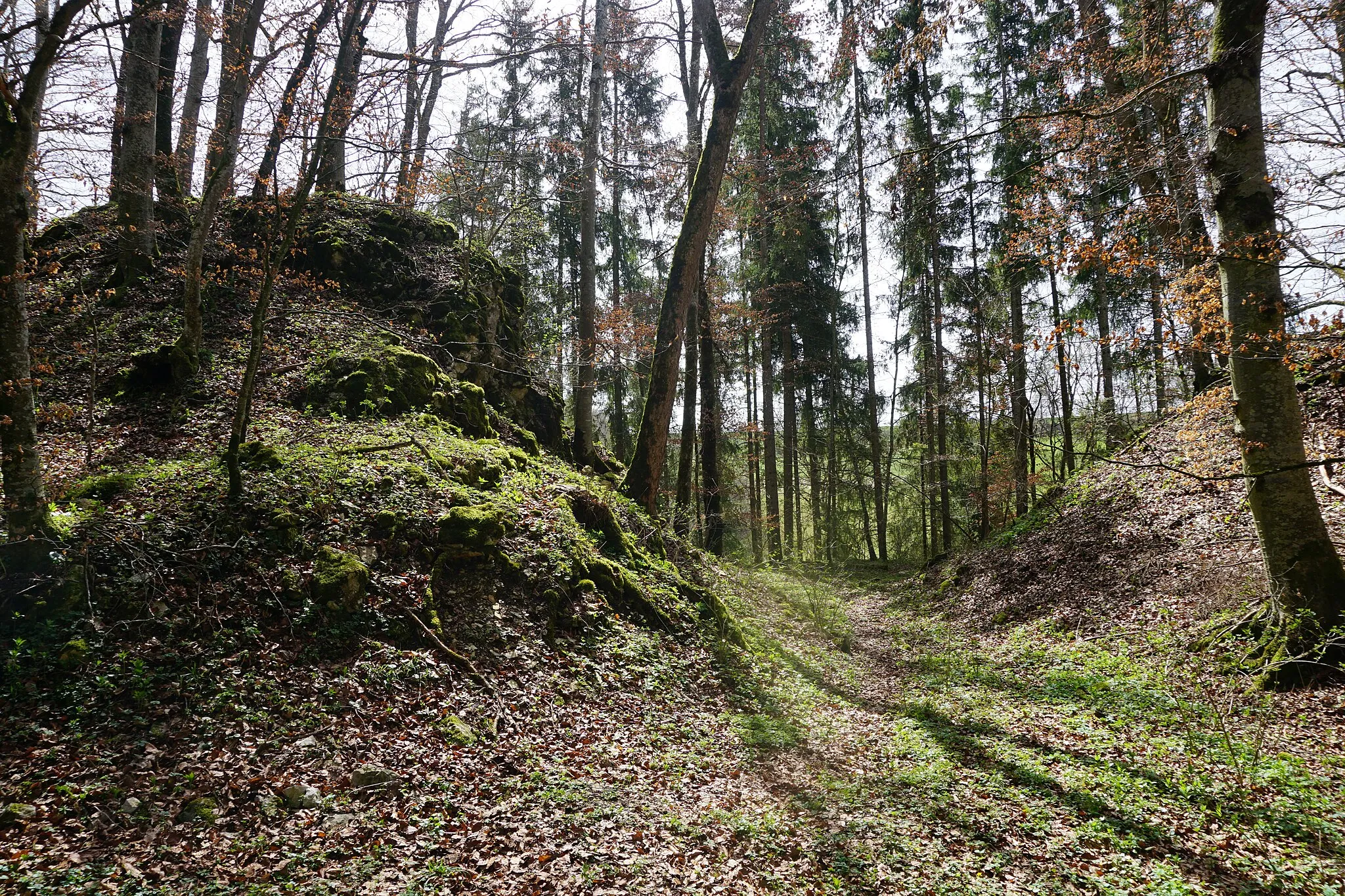 Photo showing: Halsgraben der Burg Briel