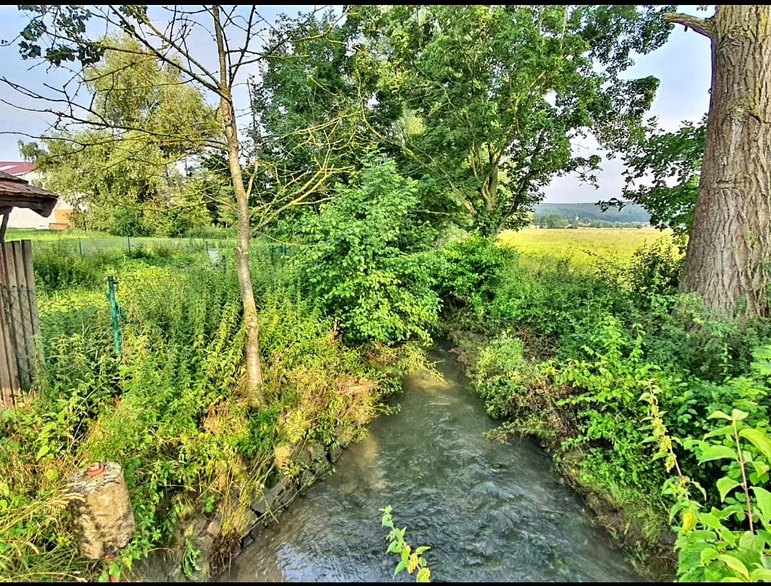 Photo showing: The river Kleine Ehe near Ezelheim. View downstream to the Southeast.