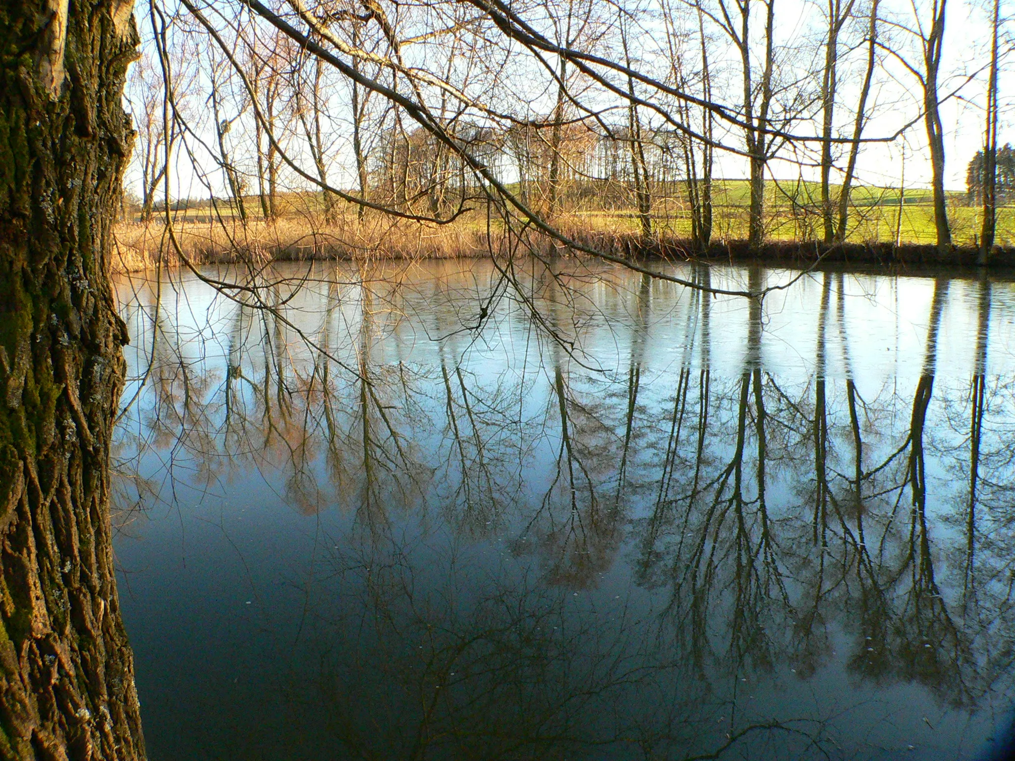 Photo showing: Coburg Stadtteil Scheuerfeld, Nägleinsteich