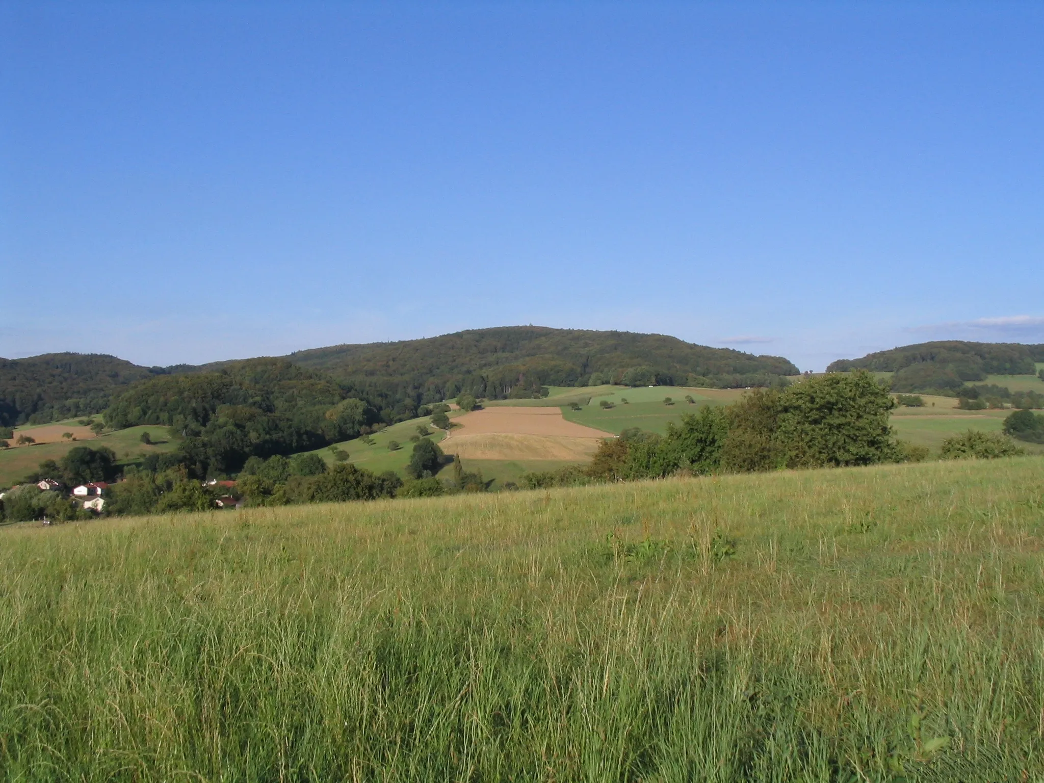 Photo showing: Blick von Südwesten zur Neunkircher Höhe, der mit 605 m höchsten Erhebung im hessischen Teil des Odenwaldes