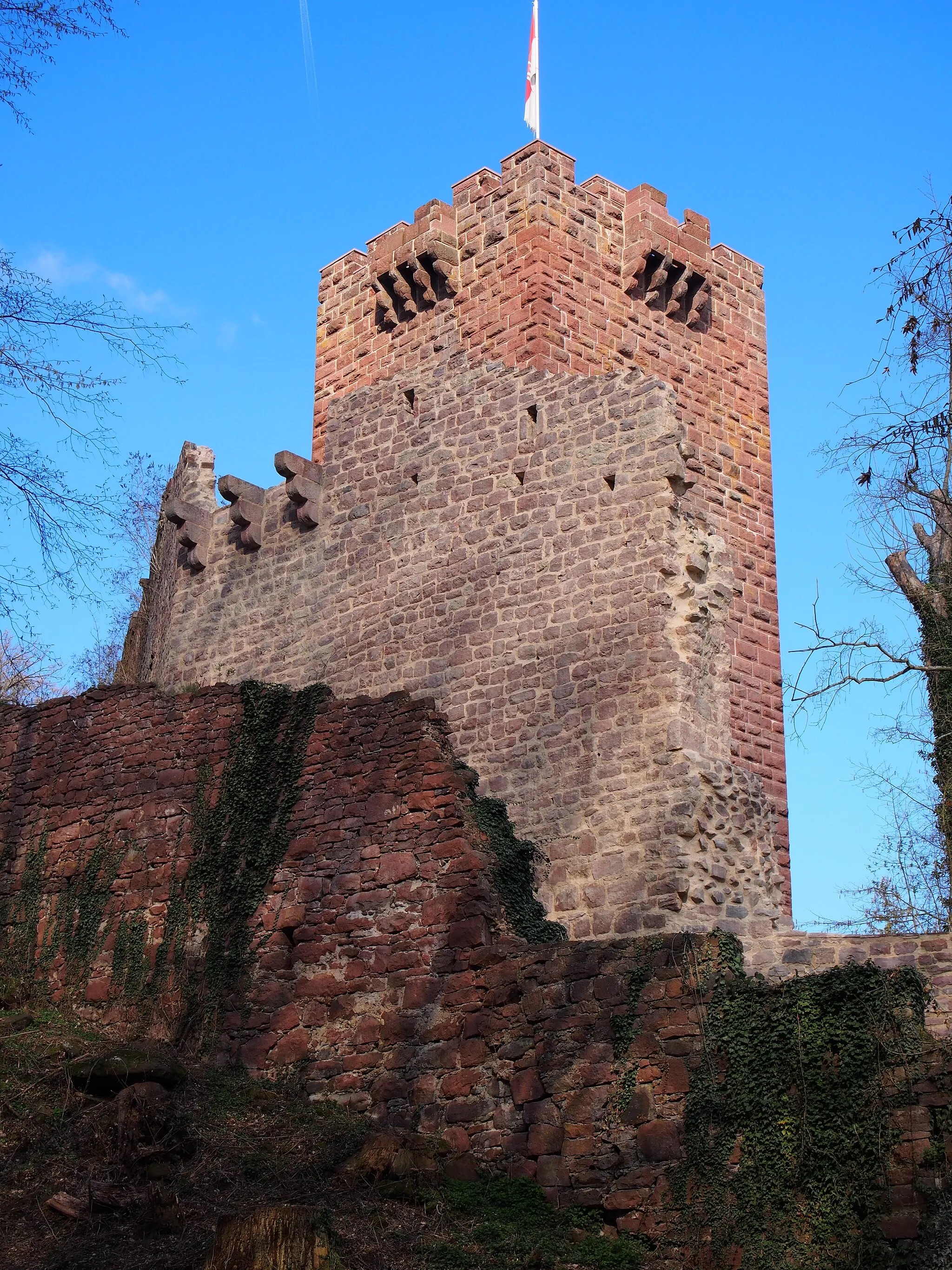 Photo showing: Burgruine Mildenburg über Miltenberg am Main, Bayern: Blick von Osten auf Bergfried, Ring- und Zwingermauer (von hinten nach vorne). Der Bergfried weist Wurferker zur Verteidigung des Mauerfußes auf für den Fall der Nutzung des Turmes als letzter Rückzugsort nach dem Fall der übrigen Burg.