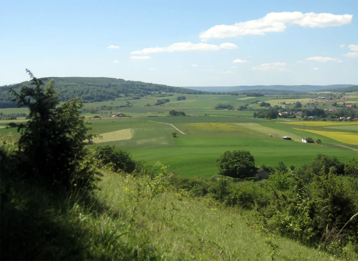 Photo showing: Kinzigquellgebiet bei Sterbfritz, von der Stephanskuppe aus