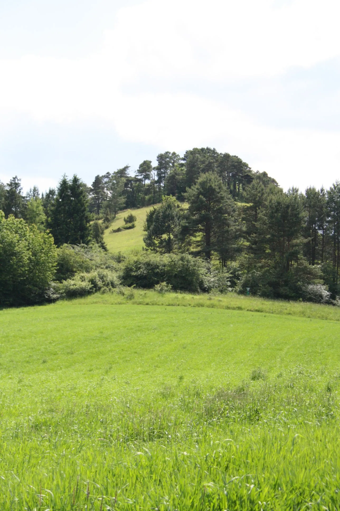 Photo showing: Stephanskuppe bei Sterbfritz (Sinntal), Naturschutzgebiet in Hessen.