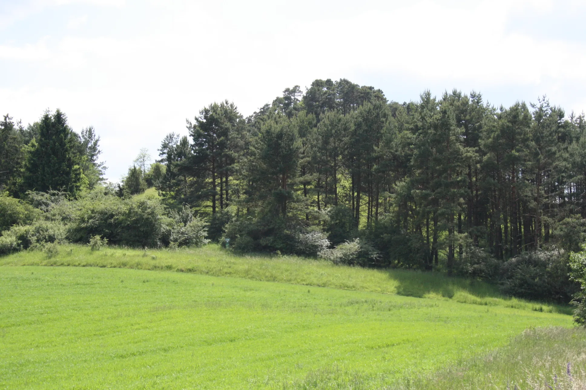 Photo showing: Stephanskuppe bei Sterbfritz (Sinntal), Naturschutzgebiet in Hessen.