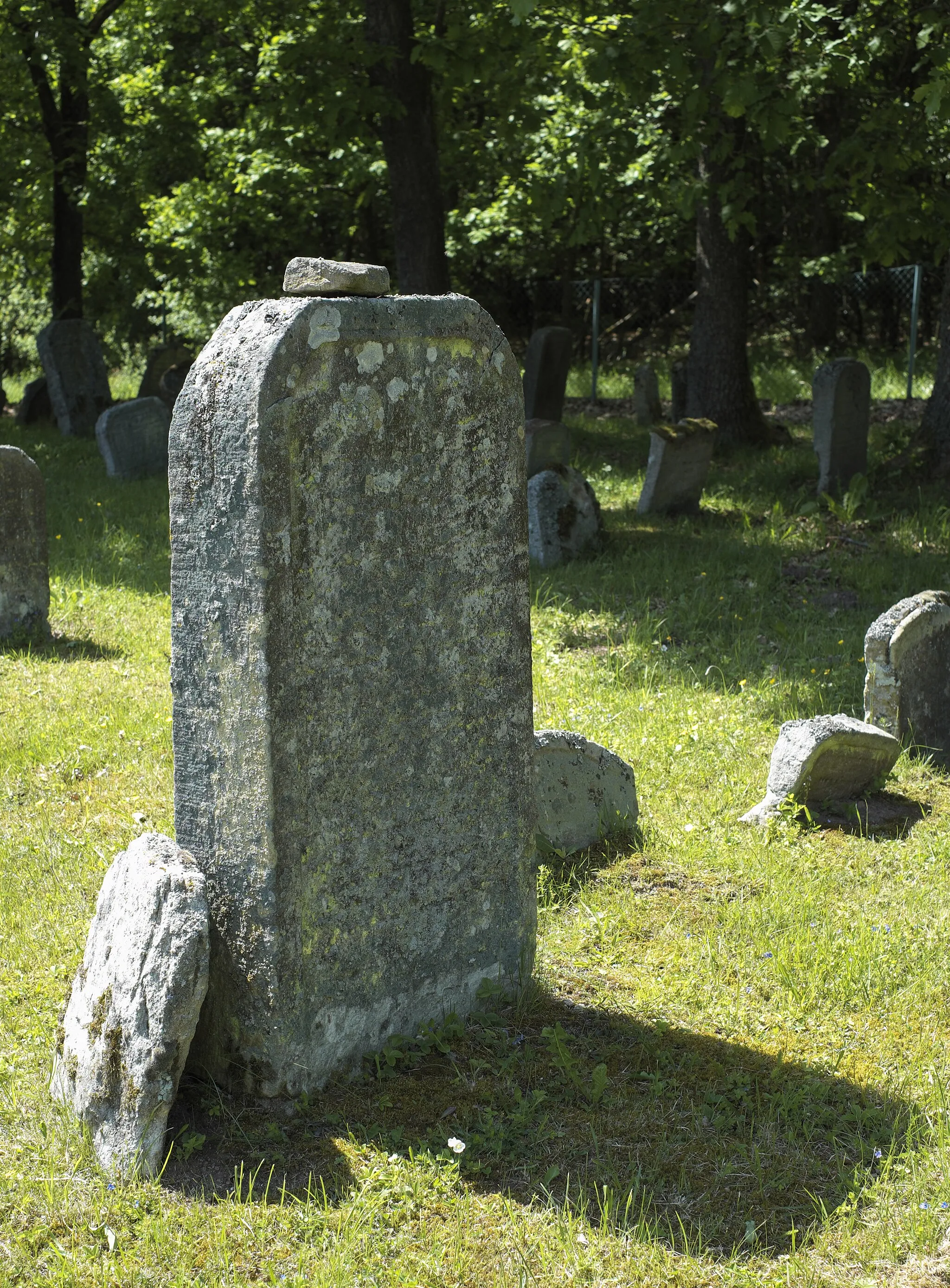 Photo showing: Jewish cemetary Kleinbardorf, county Rhön-Grabfeld, Bavaria, Germany