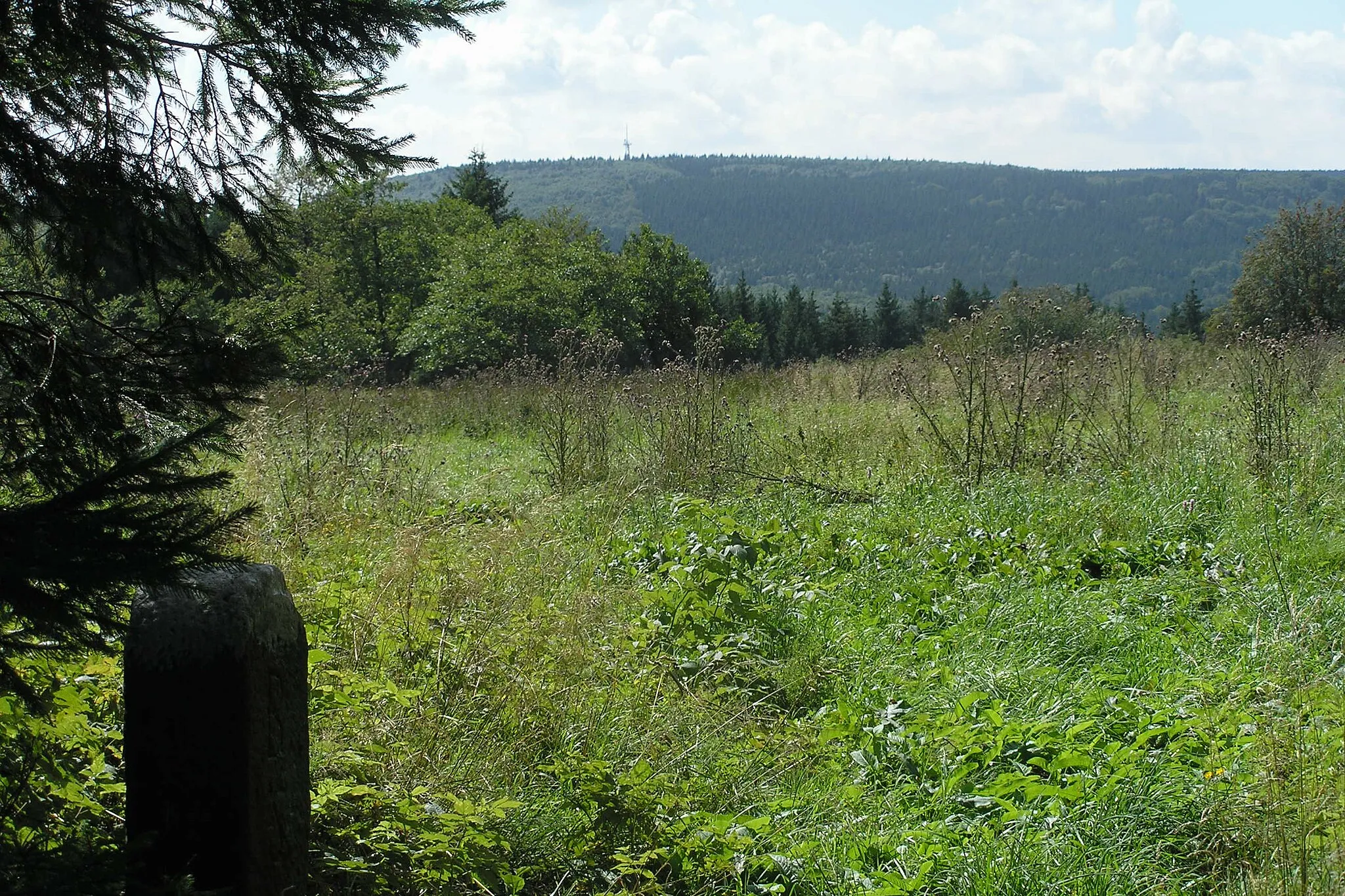 Photo showing: In der Umgebung der Kissinger Hütte auf dem Feuerberg, Blick hinüber zum Totnansberg