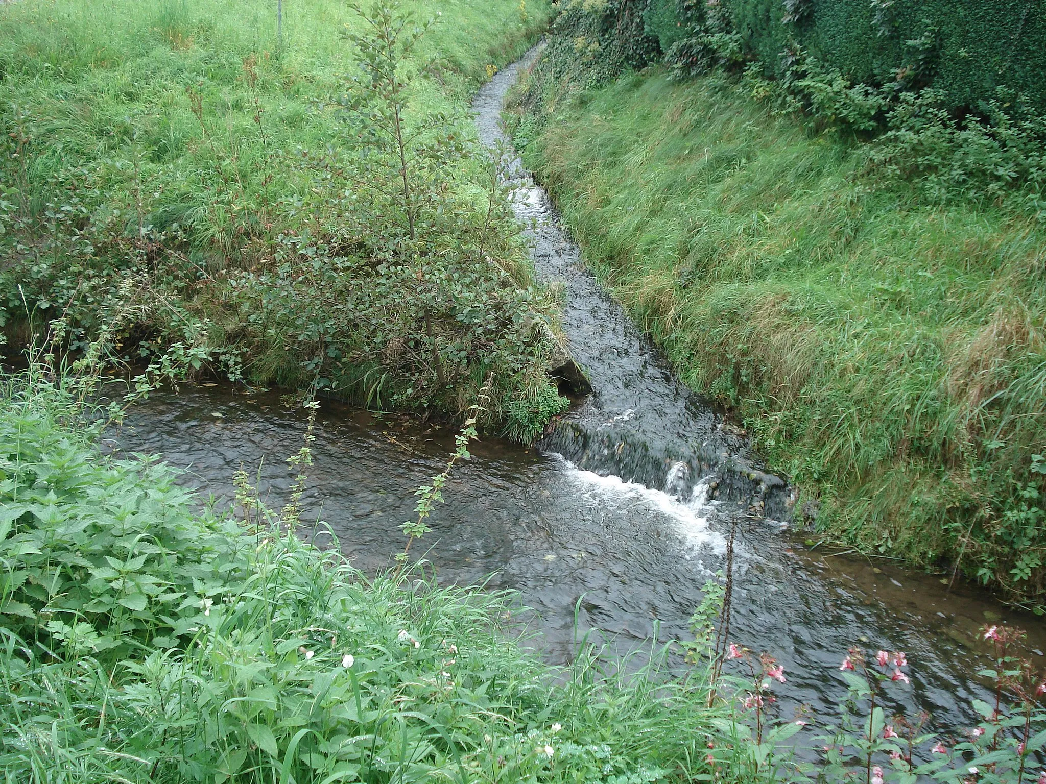 Photo showing: The mouth of Kleine Kahl in the Kahl