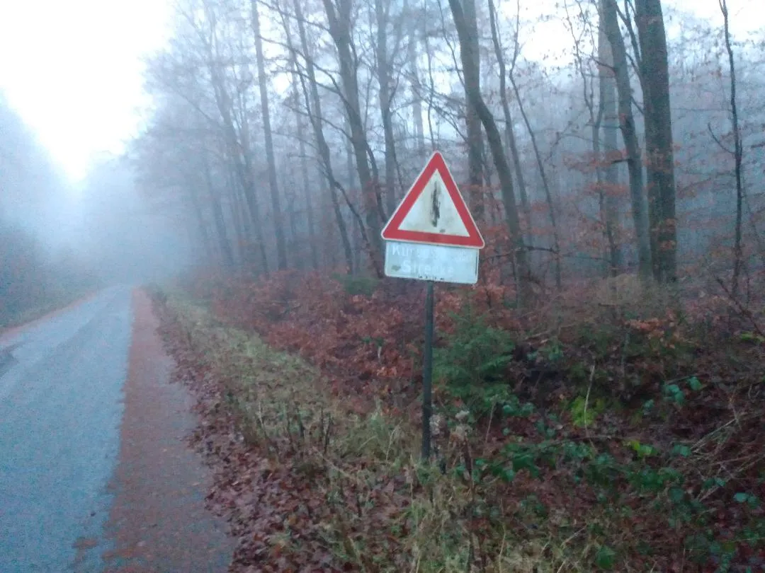 Photo showing: Das Verkehrszeichen Bild 1 (Allgemeine Gefahrenstelle) mit Zusatztafel im Wald bei Mainbullau, Landkreis Miltenberg. Auf der Zusatztafel steht "kurvenreiche Strecke".